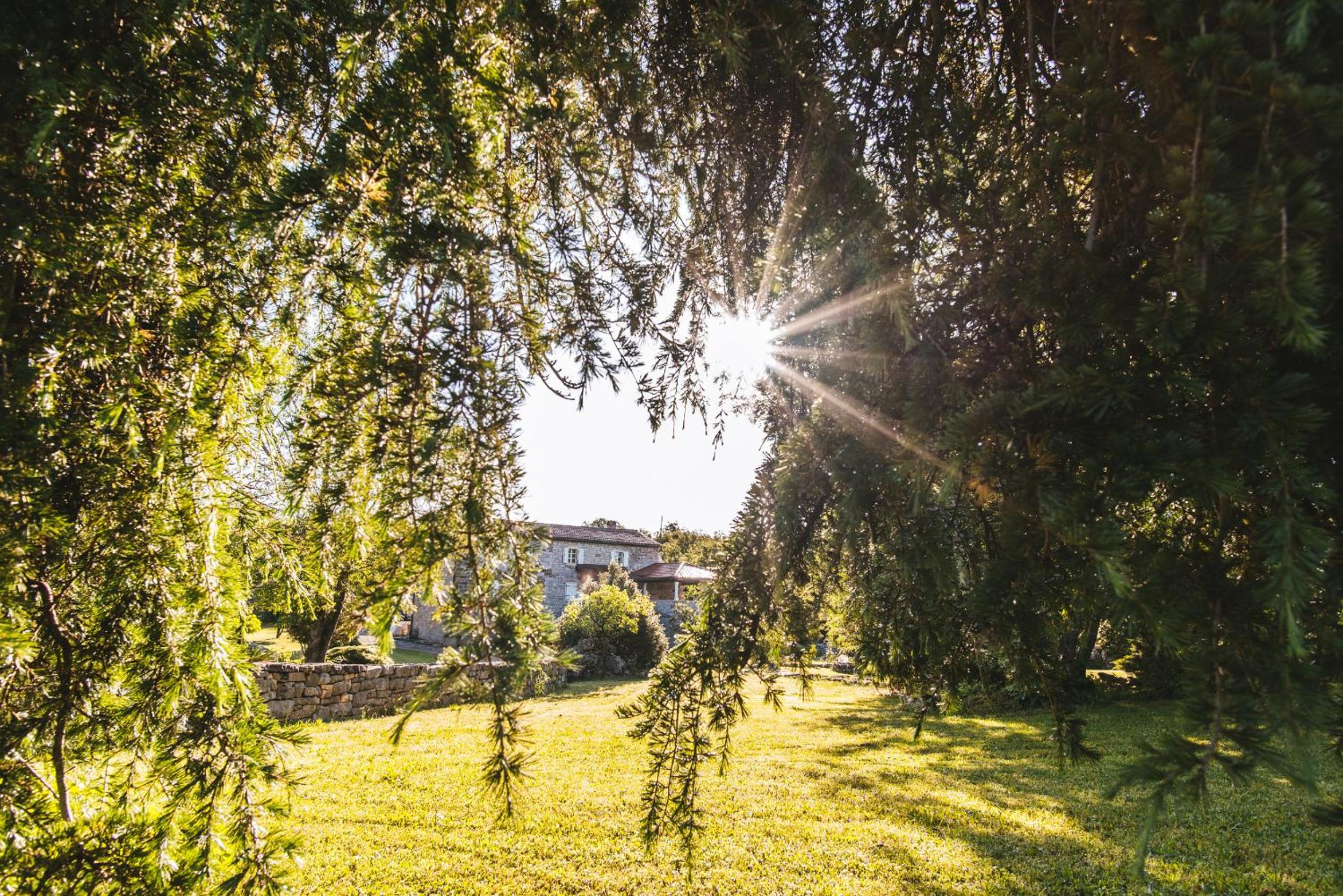 Vigini