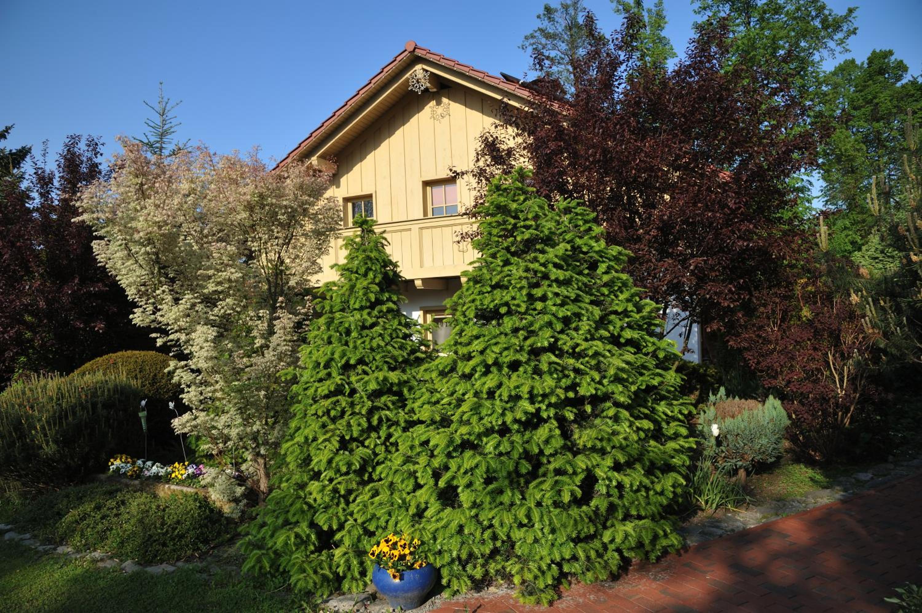 Photo 34