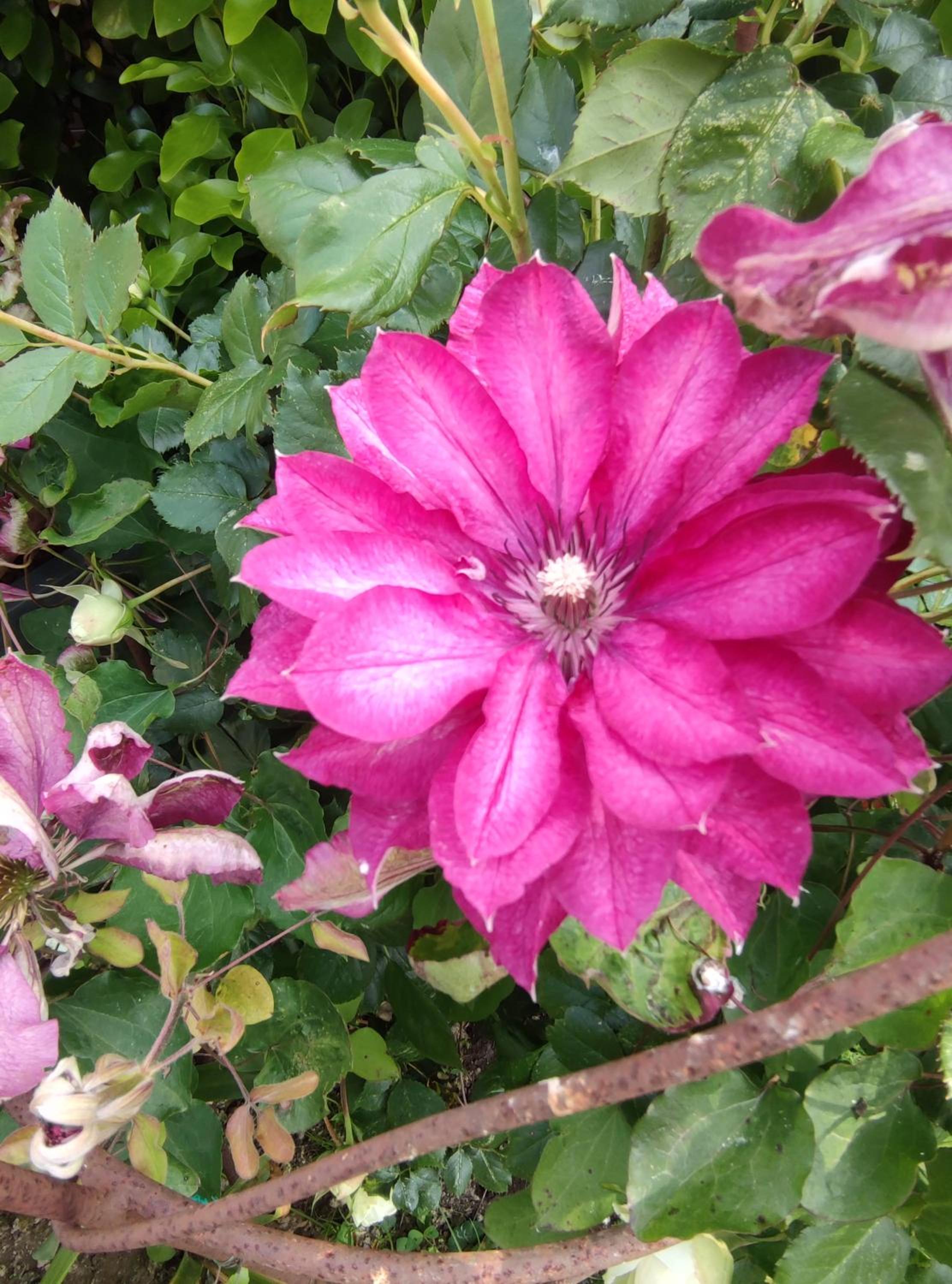 Photo 32