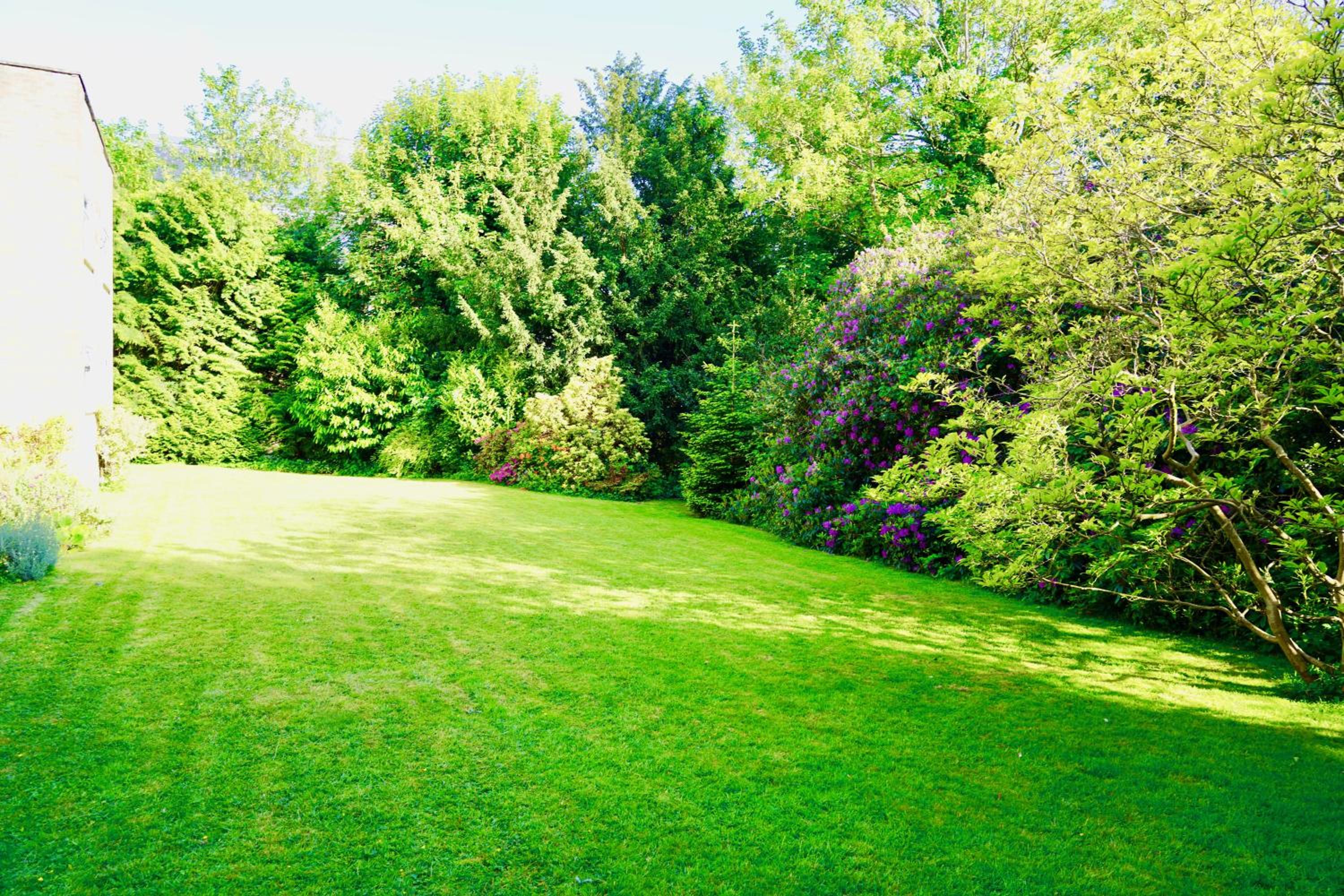 Super-Quiet Town Centre Flat 5 min Walk to Station view 2