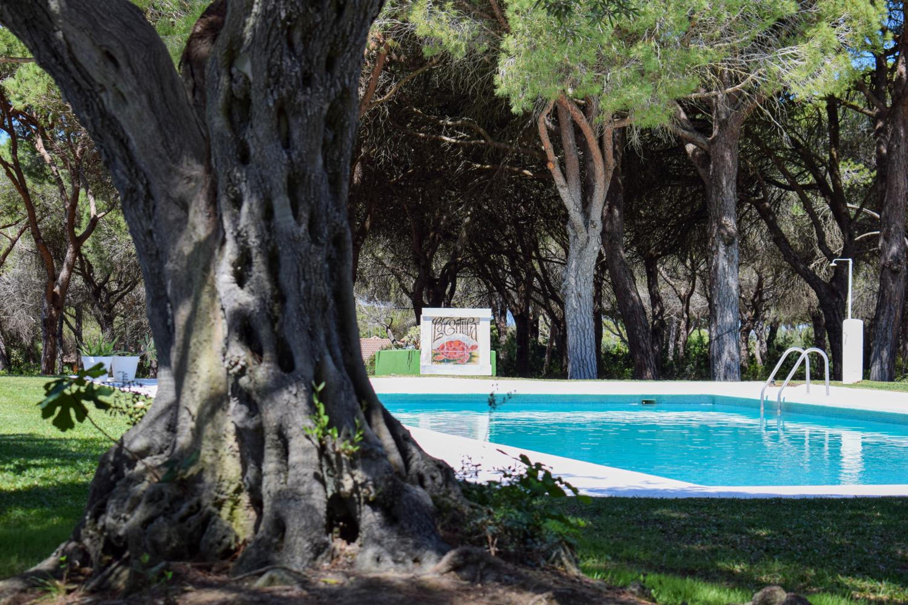 Hotel Alojamientos La Tortuga - Image 1