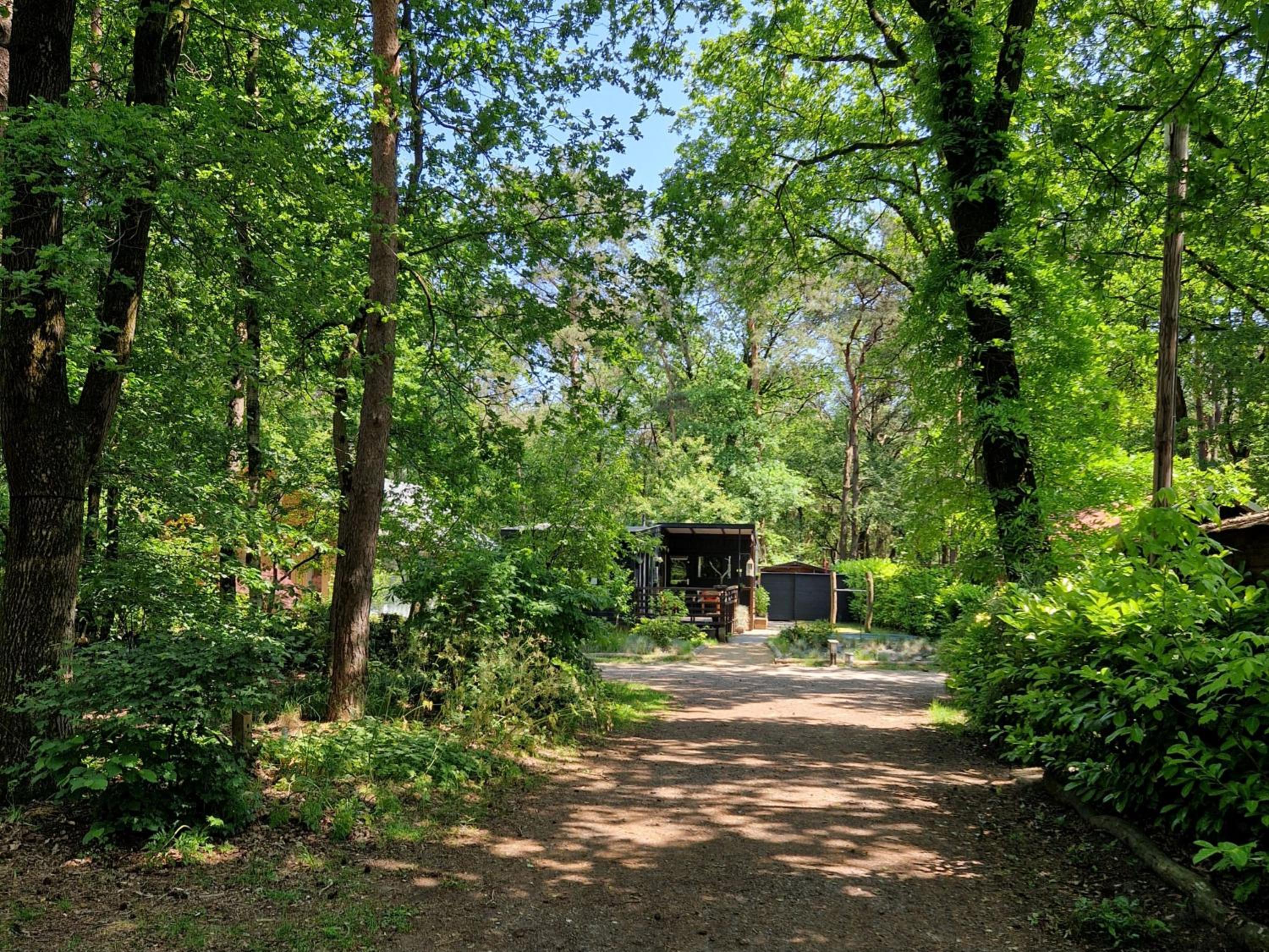 Heerlijk Huisje in het bos op Chaletpark Kempenbos view 3