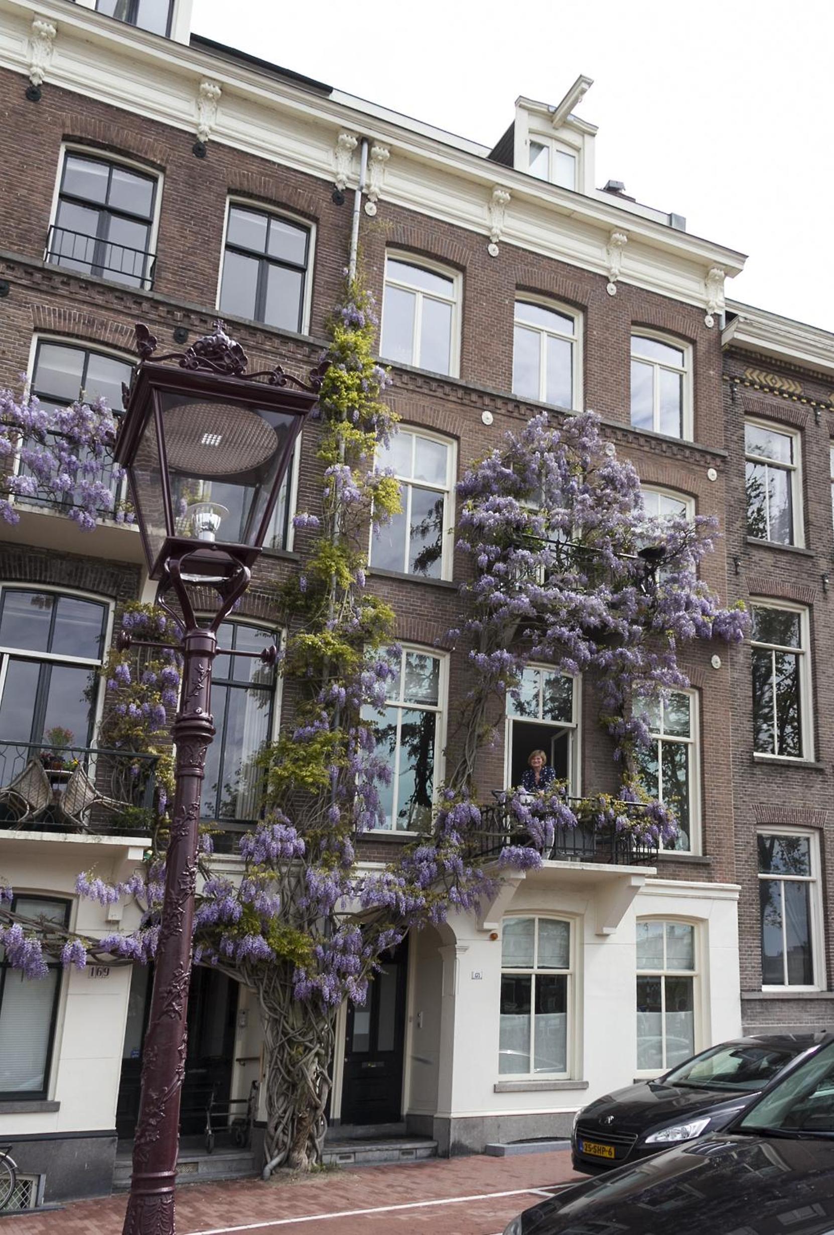 B&B Amsterdam Amstel Apartment