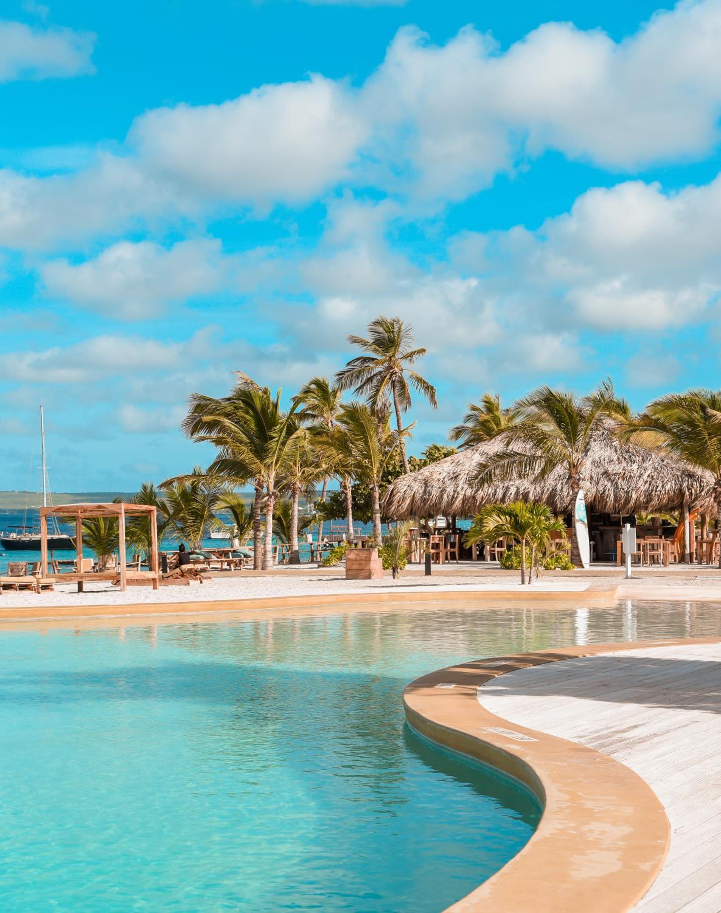Chogogo Dive & Beach Resort Bonaire - Photo 63