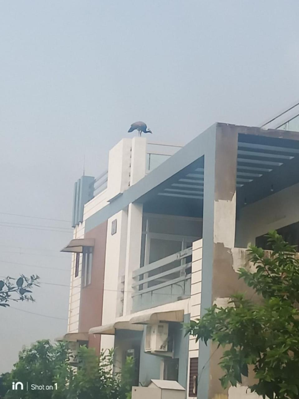 Boutique Indian Home Stay - Pandora Home Stay