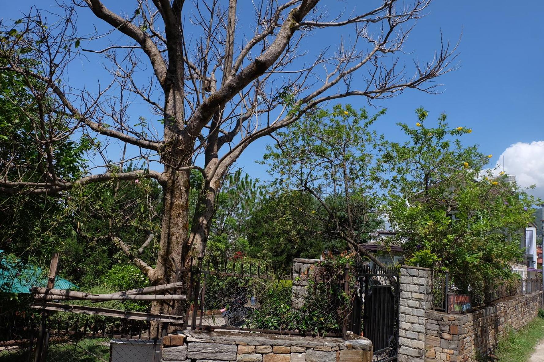 Sambodhi Yoga Home view 4