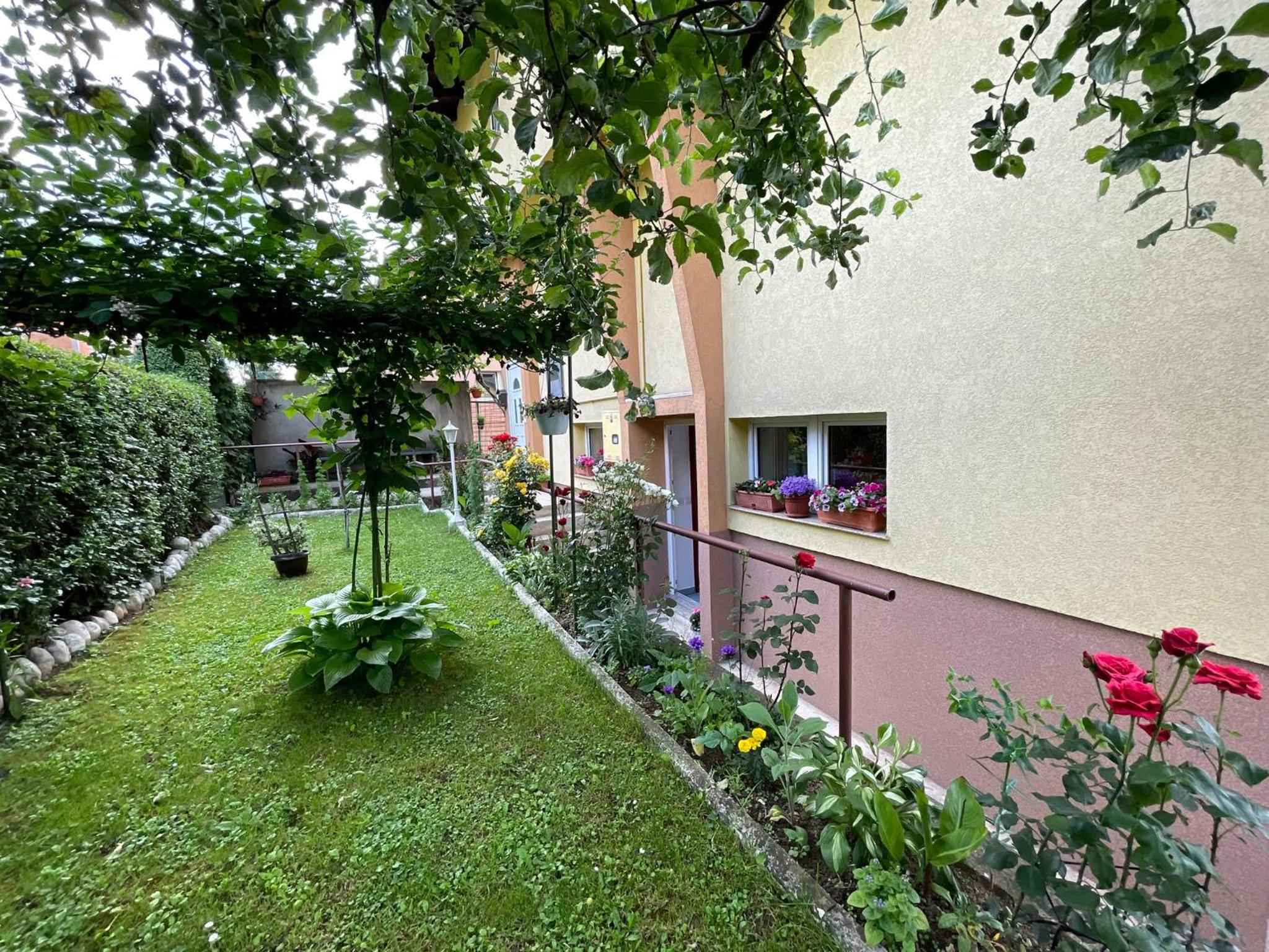 Dreamy Garden Apartment