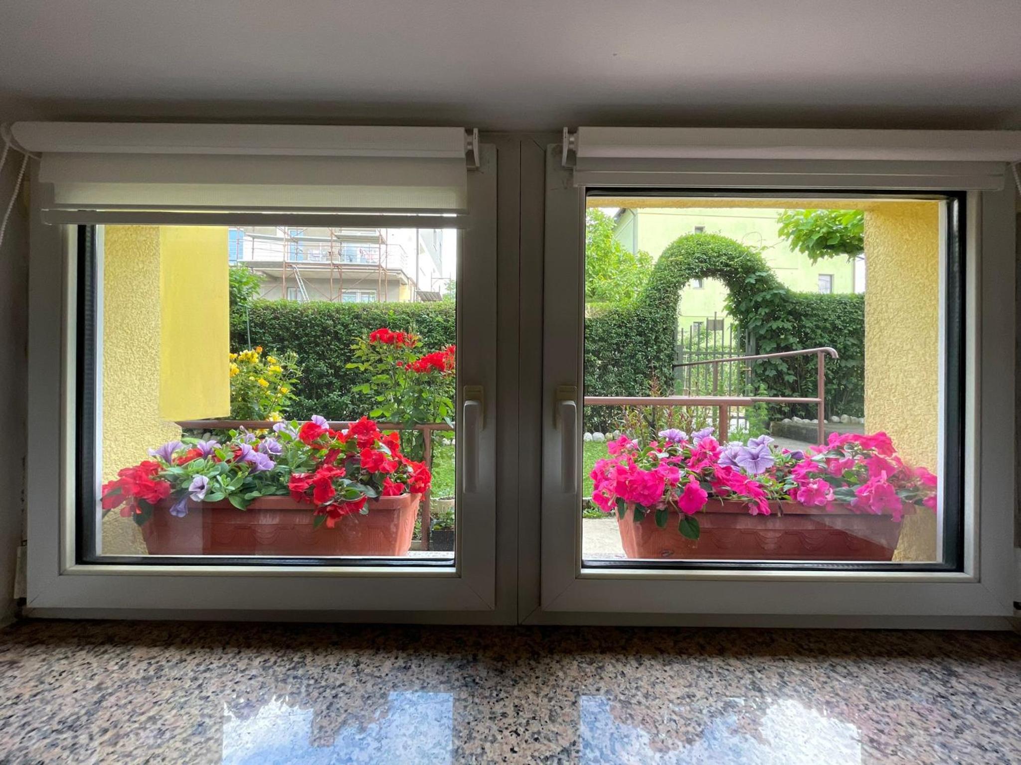 Dreamy Garden Apartment