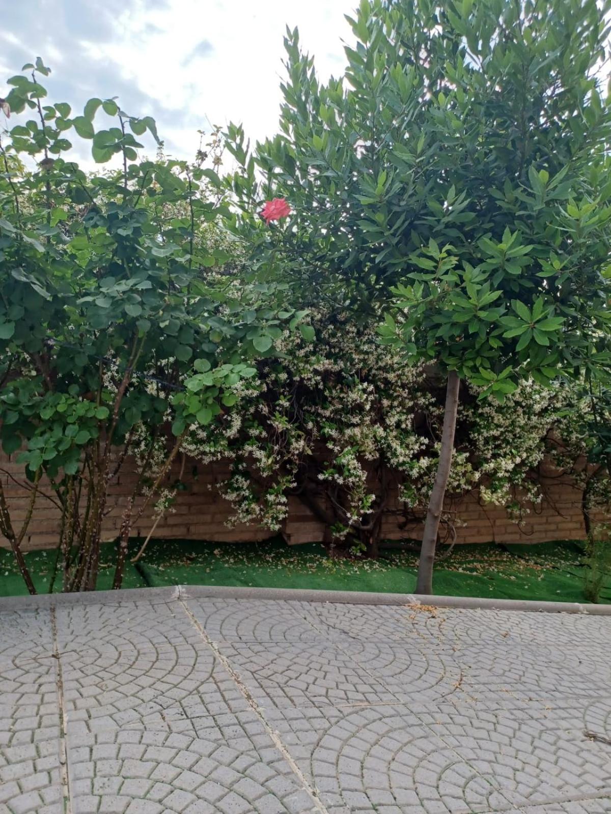 Chalet Costa Dorada