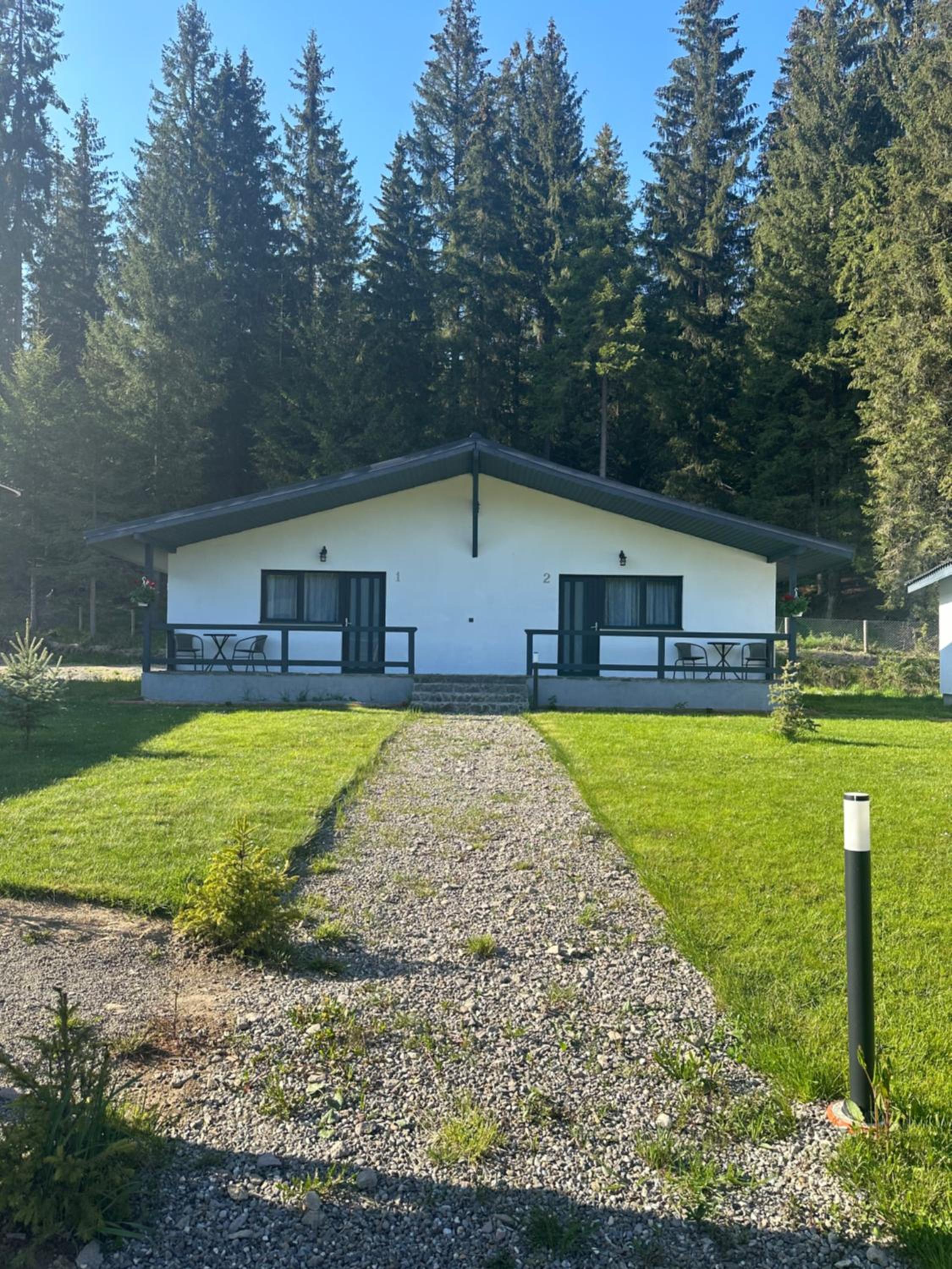 CLUBUL DACILOR