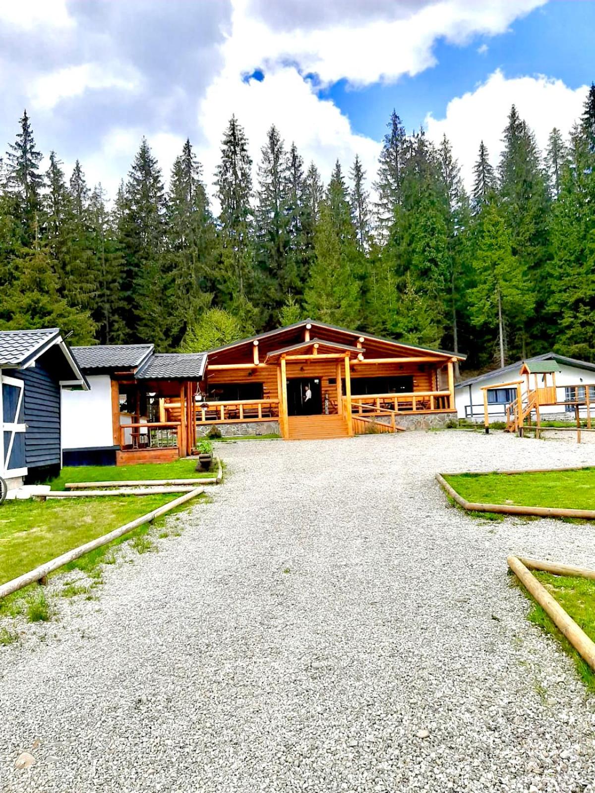 CLUBUL DACILOR