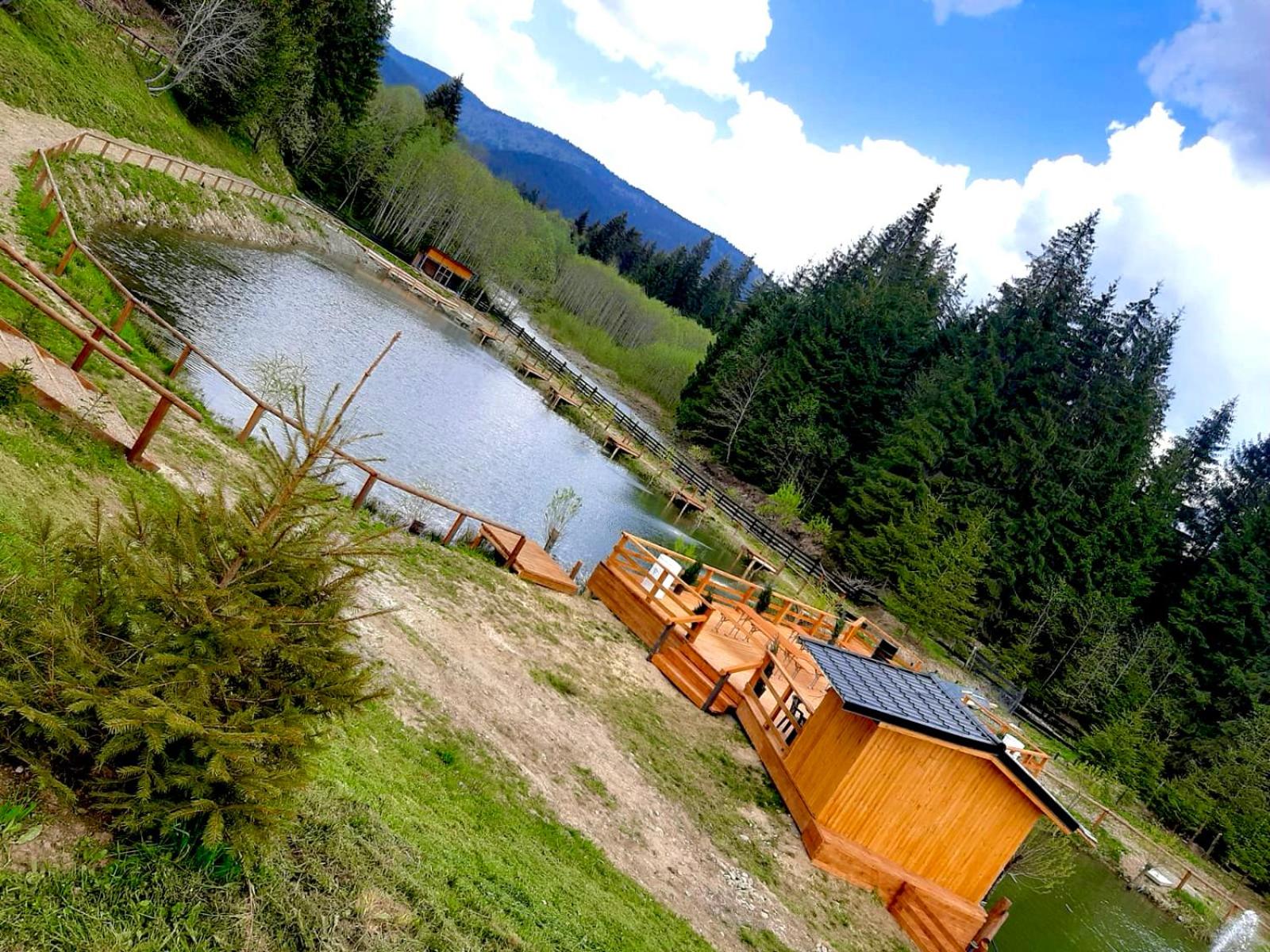CLUBUL DACILOR