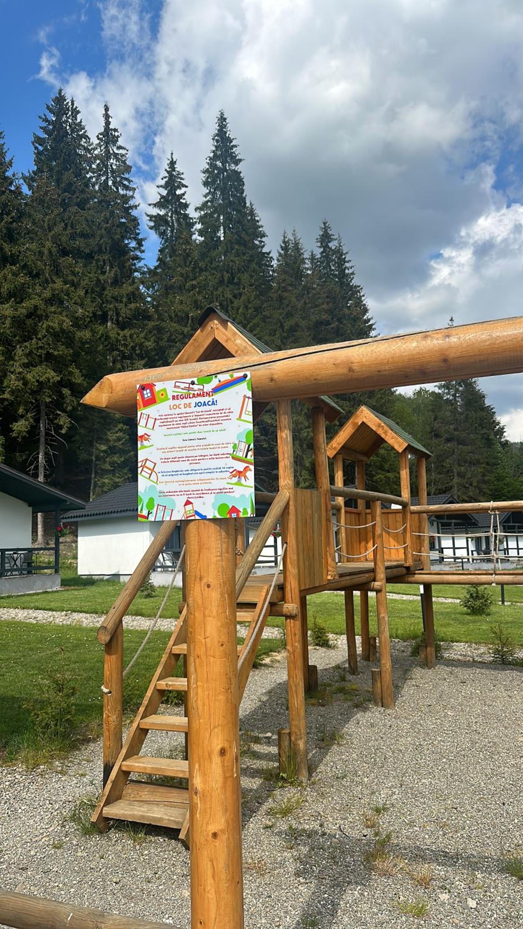 CLUBUL DACILOR