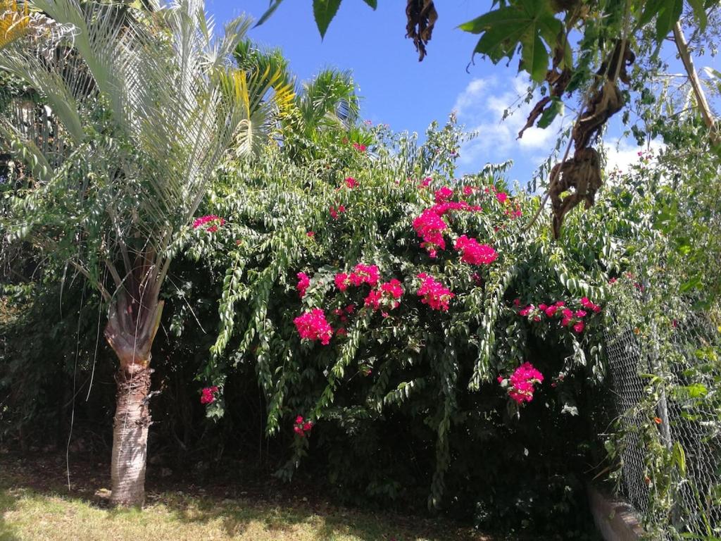 Villa Ticitron