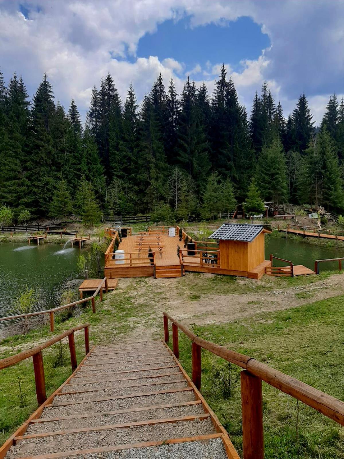 CLUBUL DACILOR