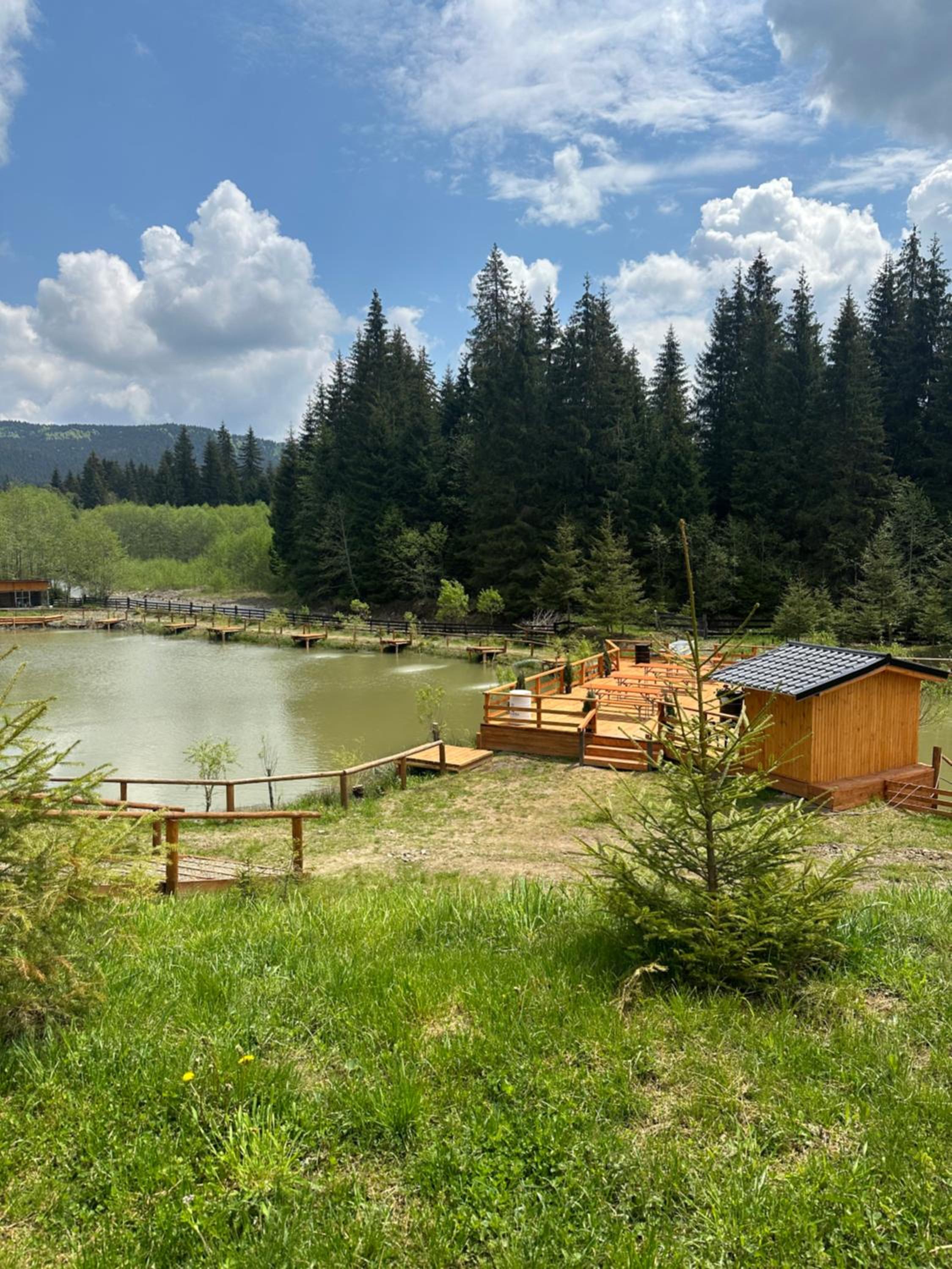 CLUBUL DACILOR