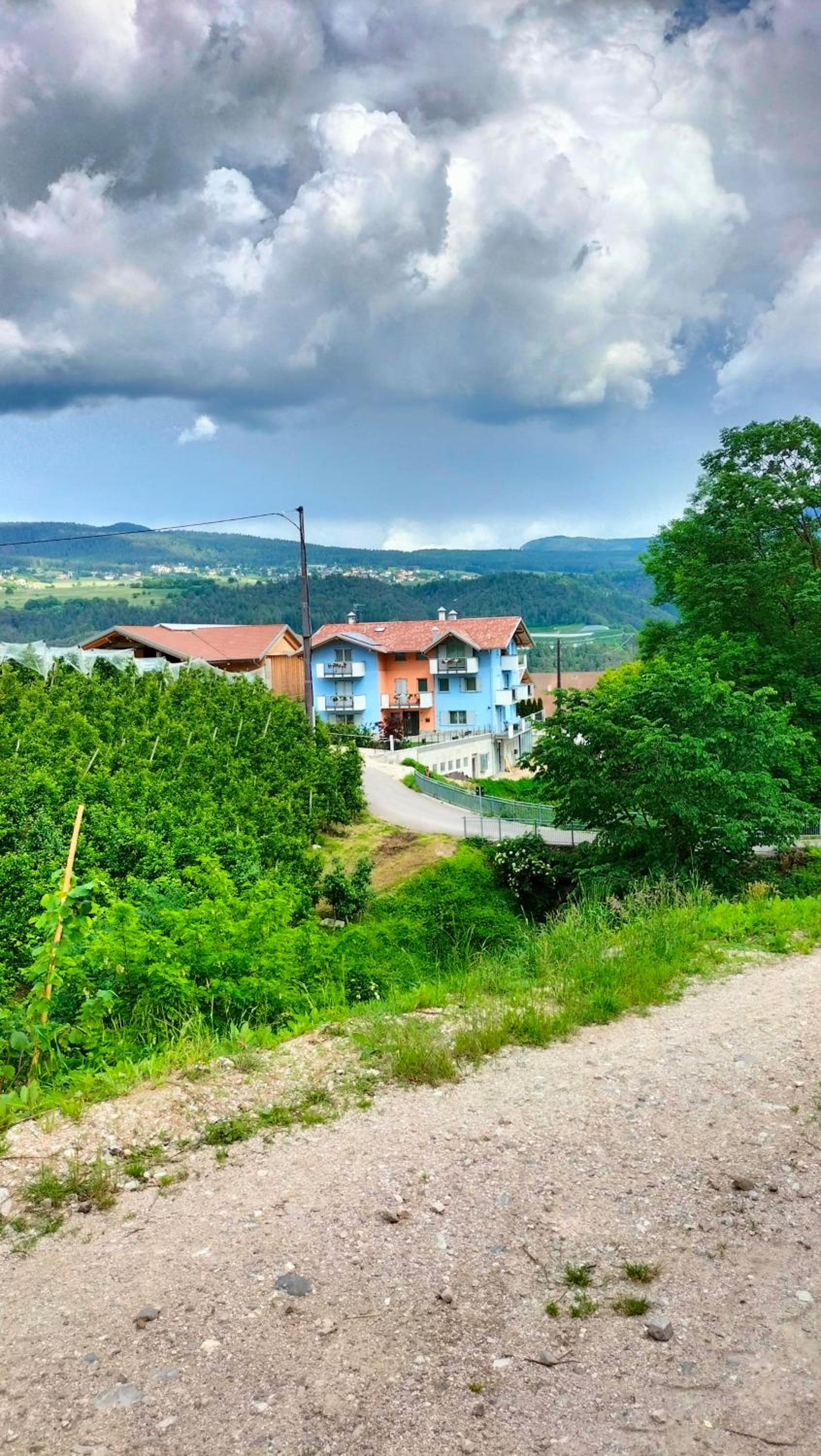 Agritur La Fenice