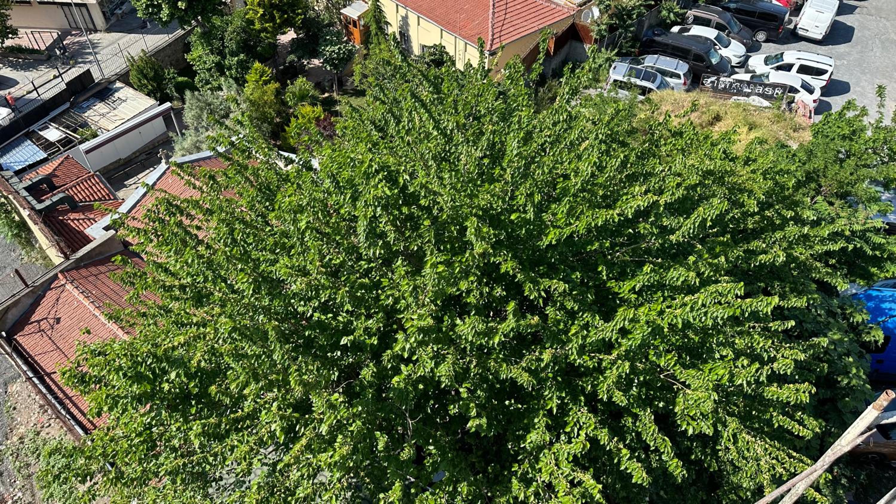 Mar Boutique Daire - Image 49