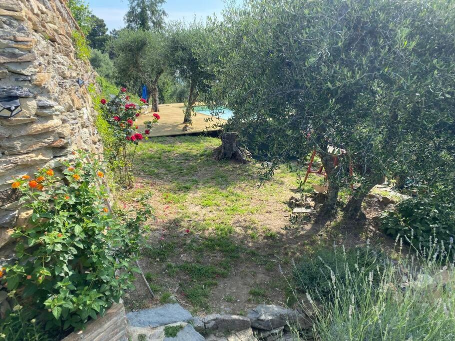 Rivolta home photo 5