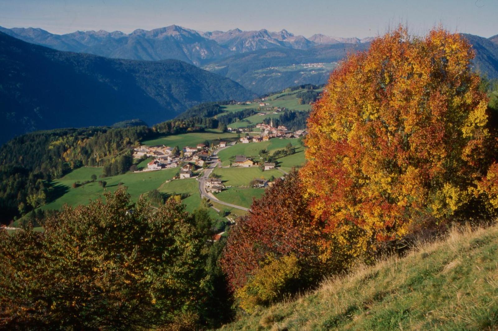 Perchnerhof