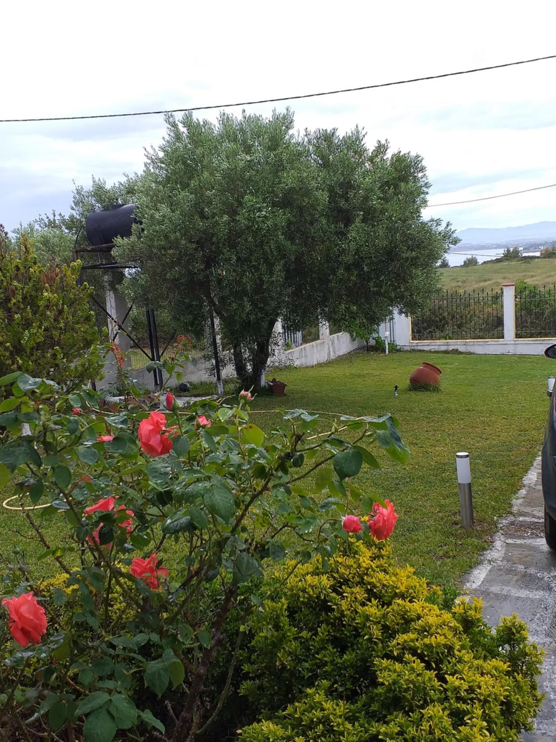 Tasos