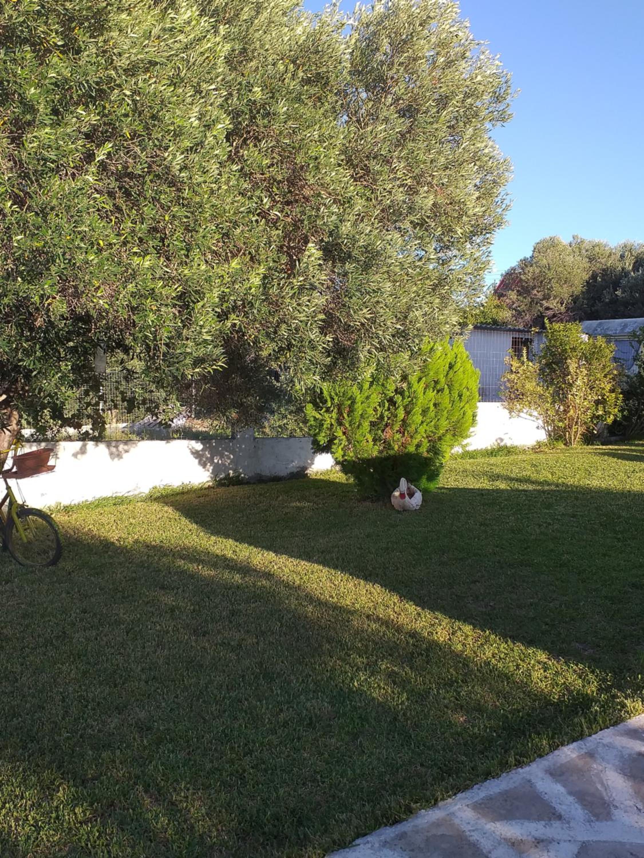 Tasos