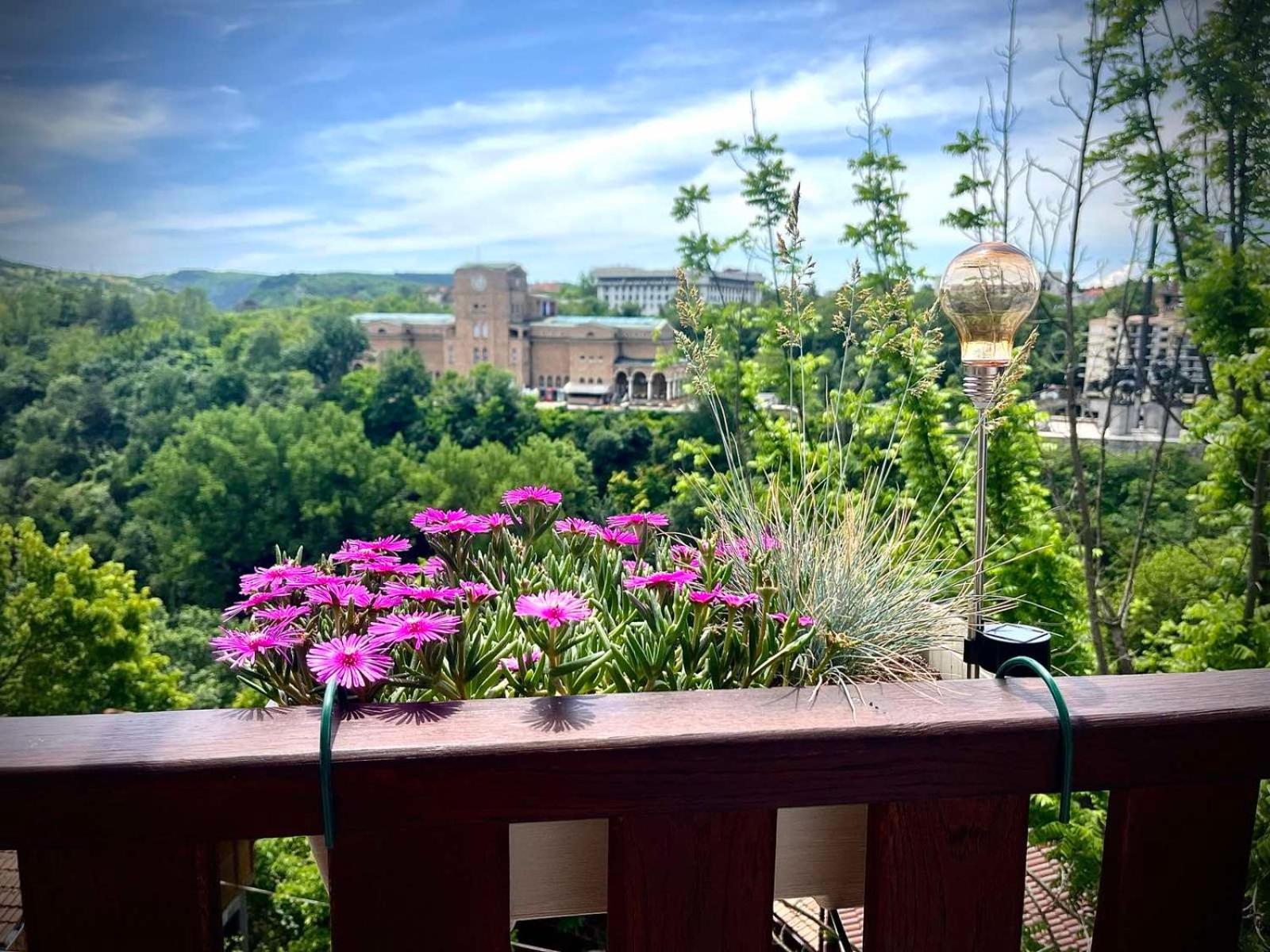 The Green Guest House-Amazing View, Top Location, Entire House