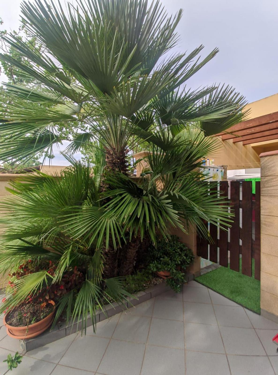 VILLA LORETTA photo 4