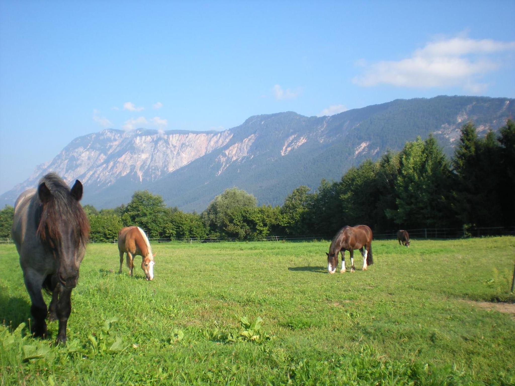 FACT Apartments
