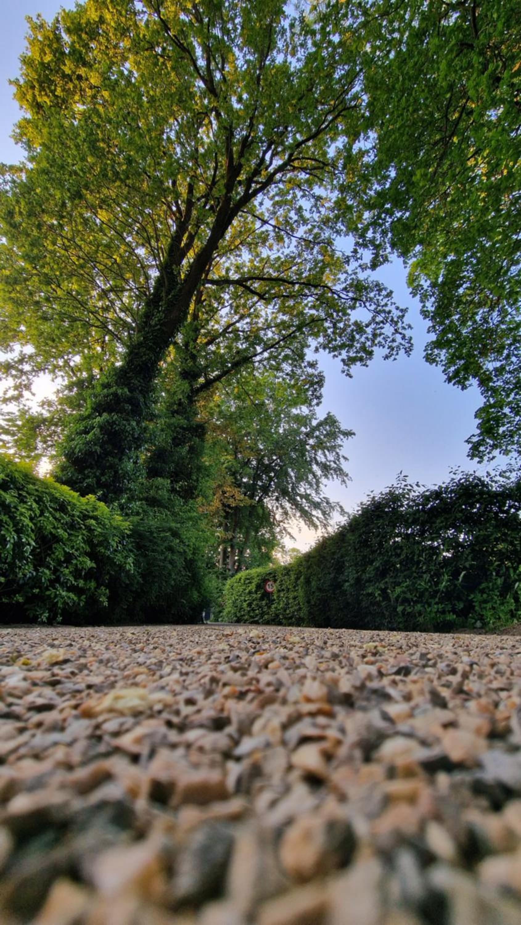 Photo 41