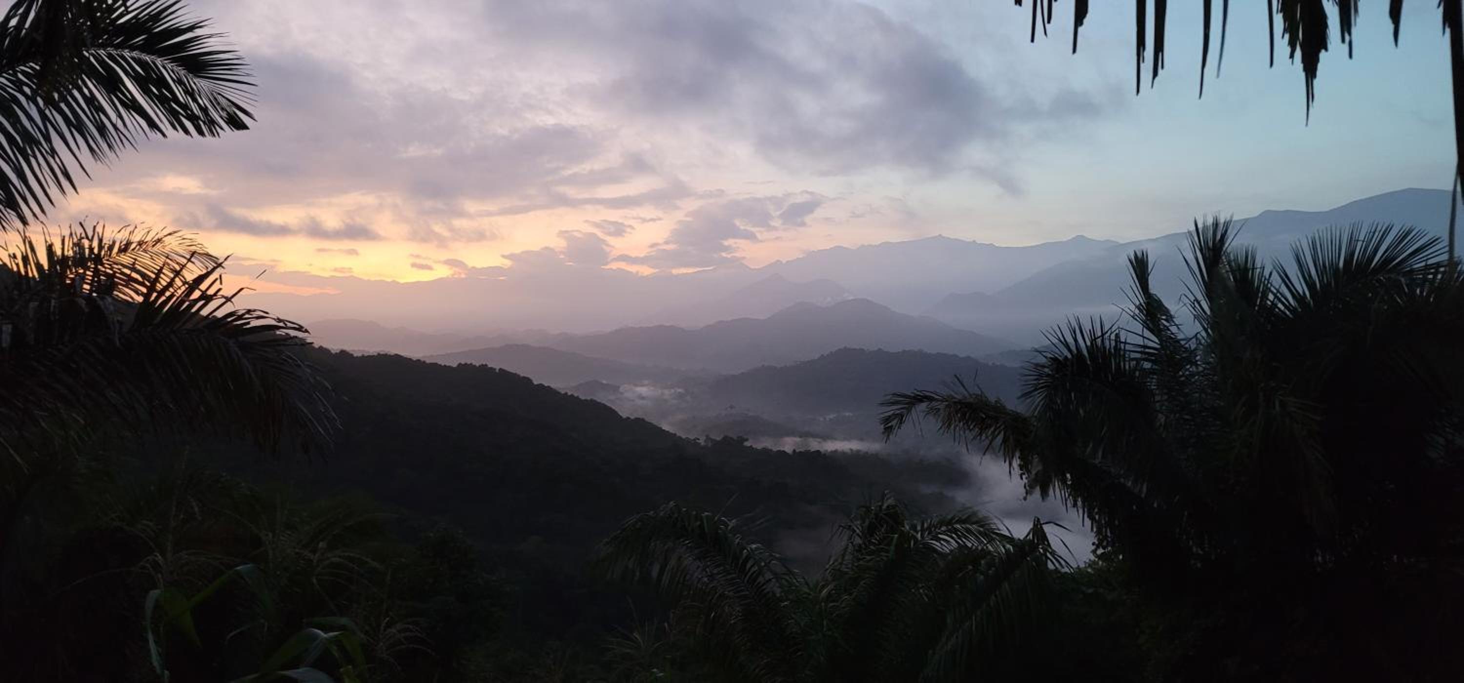 Finca Anicca - Cabaña, Camping, Hamaca - Farmstay
