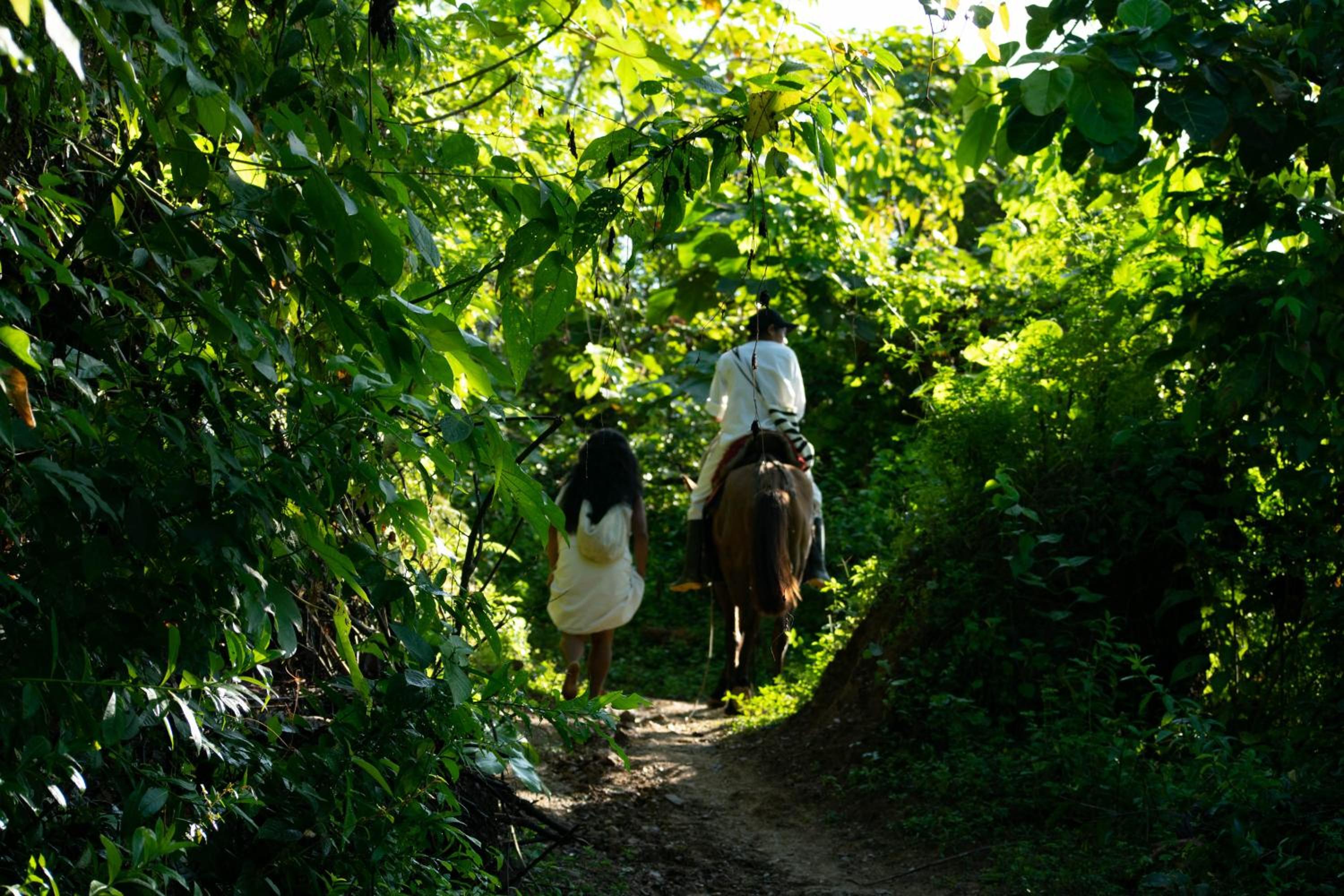 Finca Anicca - Cabaña, Camping, Hamaca - Farmstay