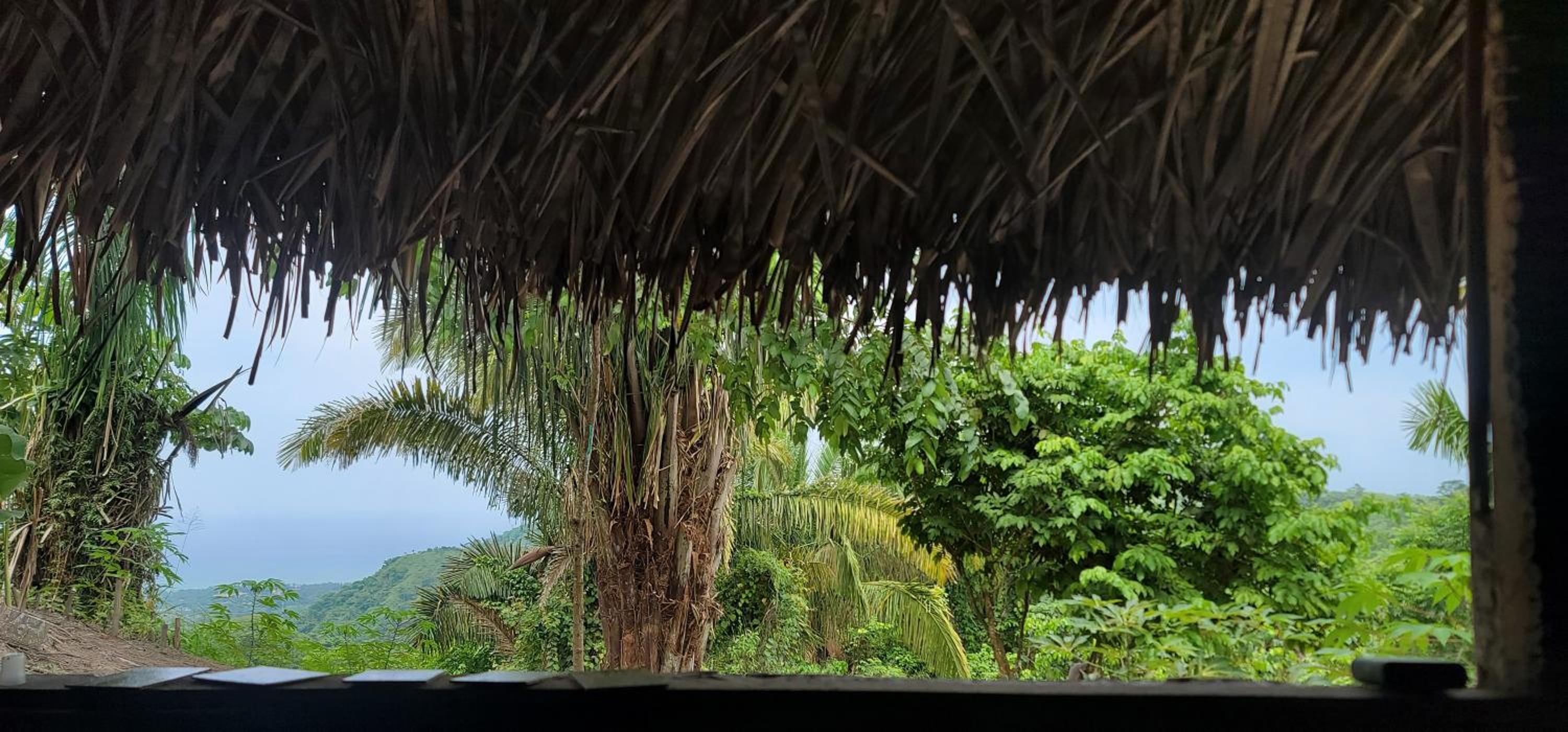 Finca Anicca - Cabaña, Camping, Hamaca - Farmstay