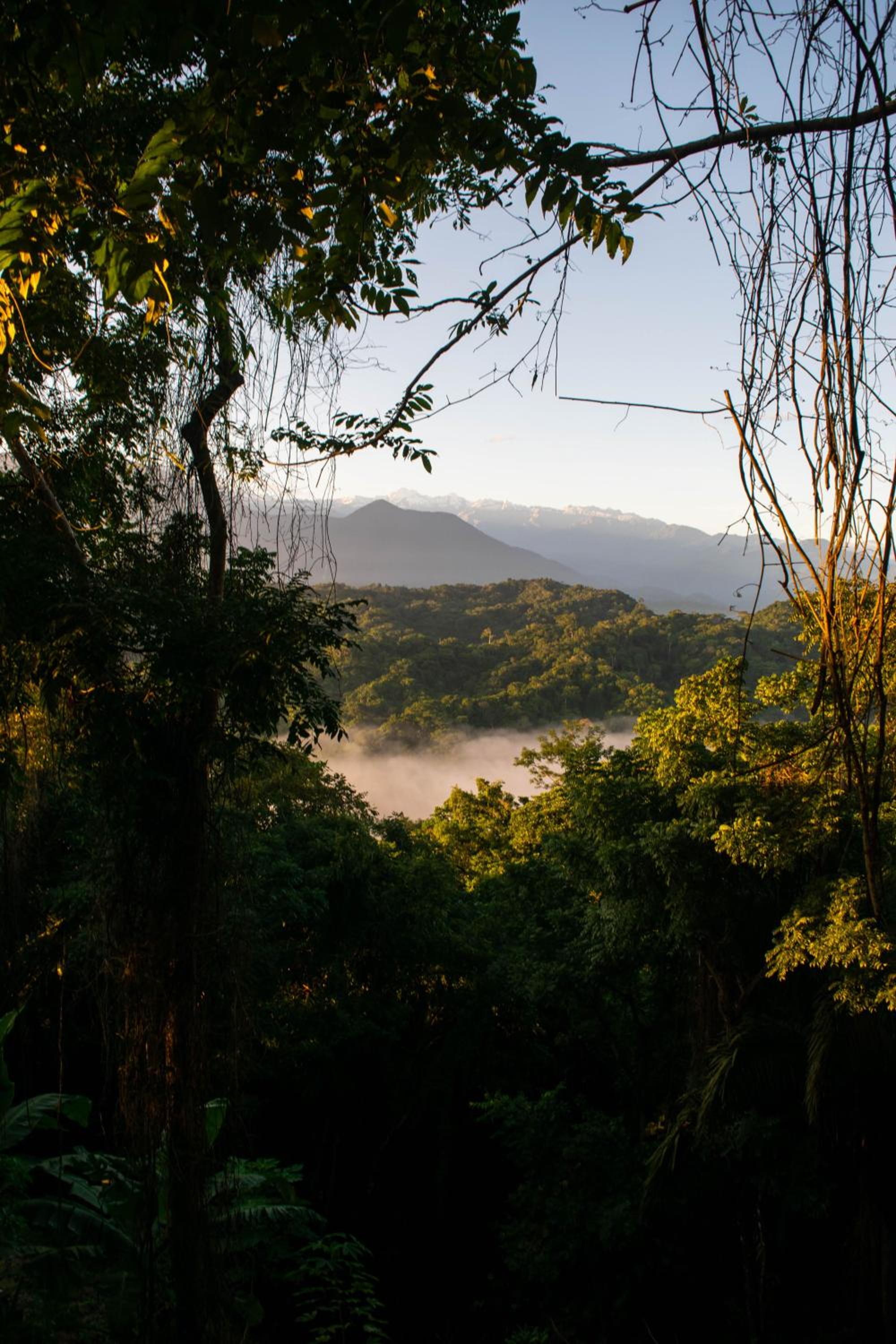 Finca Anicca - Cabaña, Camping, Hamaca - Farmstay