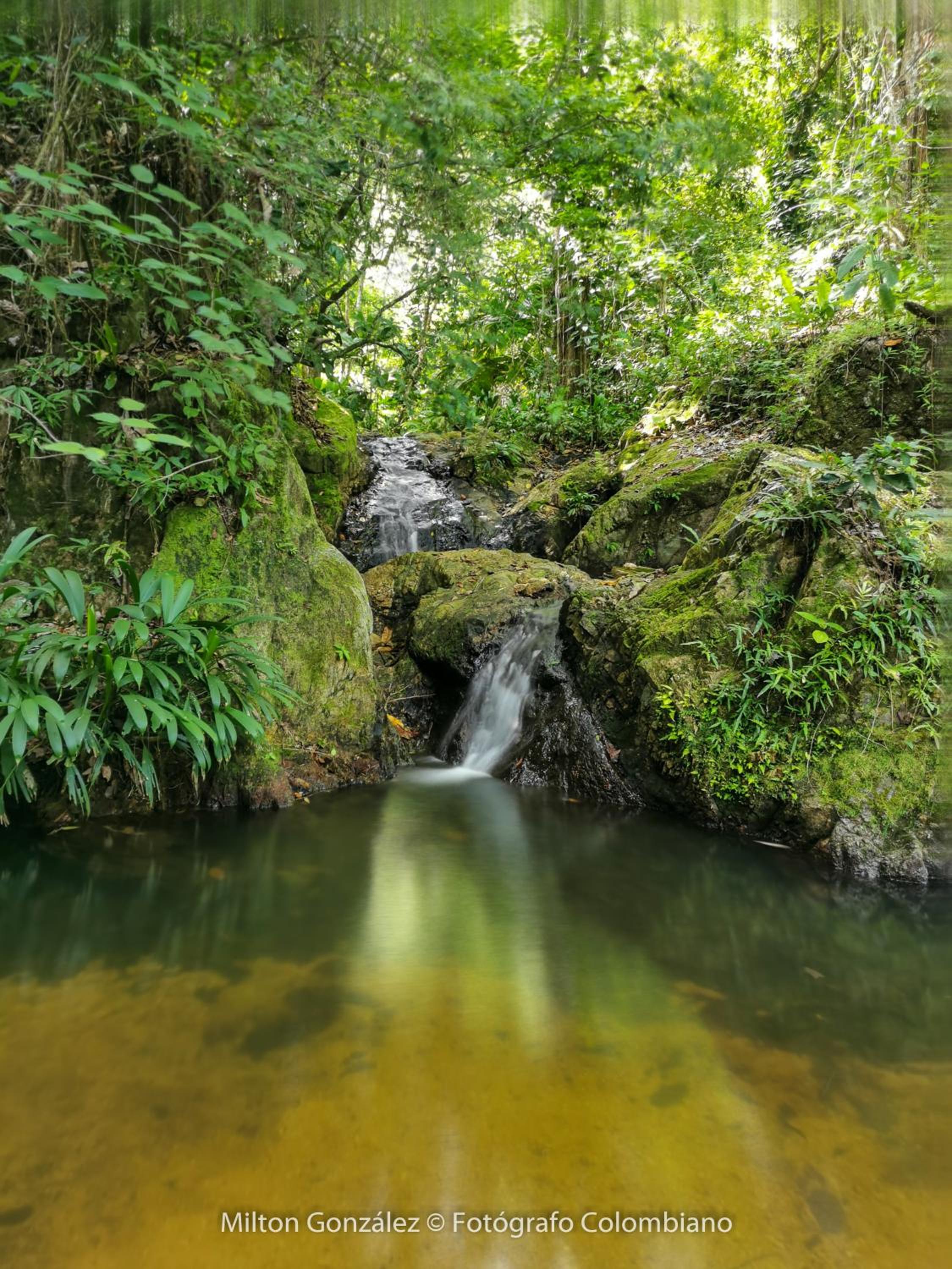 Finca Anicca - Cabaña, Camping, Hamaca - Farmstay