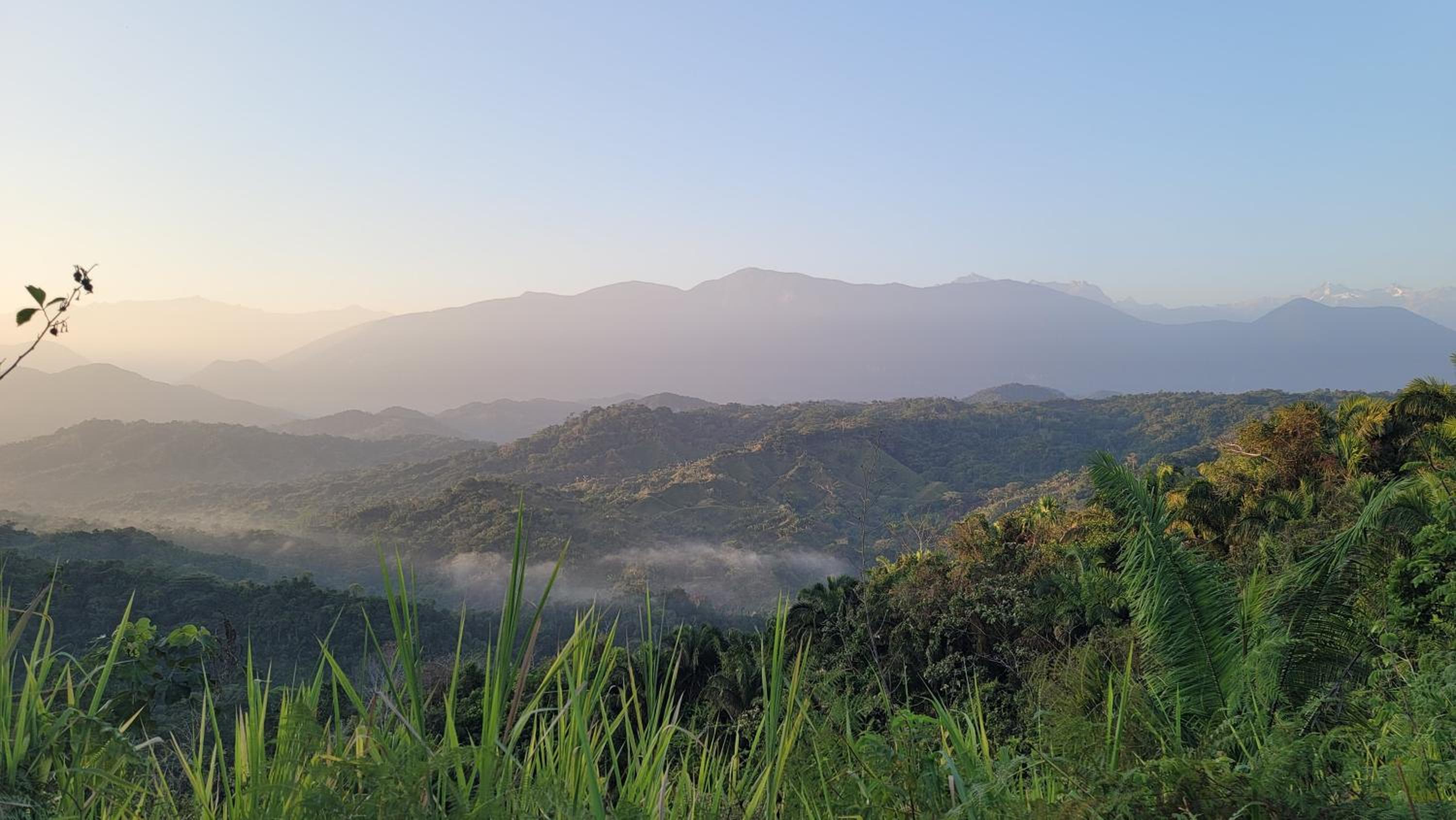Finca Anicca - Cabaña, Camping, Hamaca - Farmstay