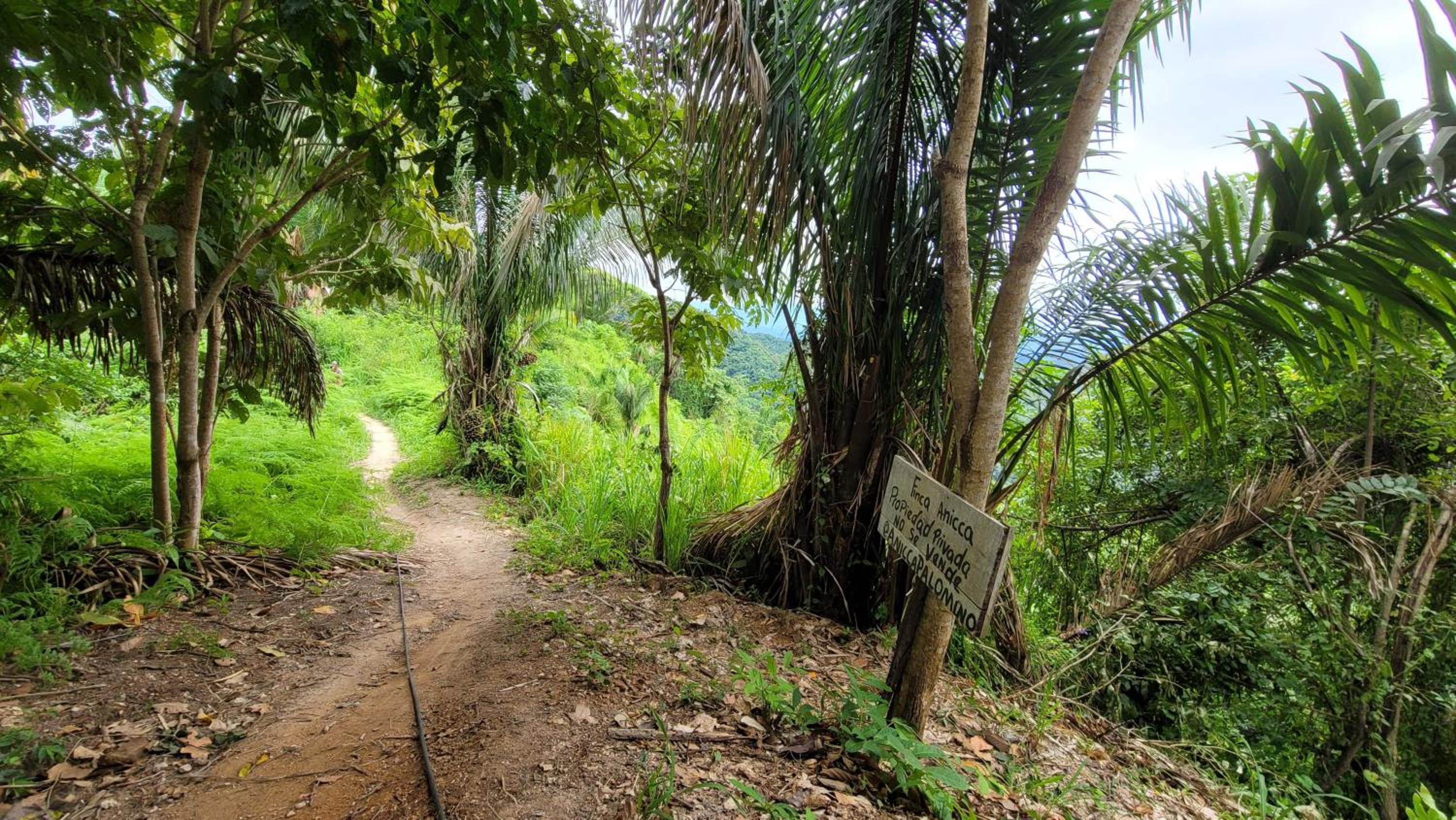 Finca Anicca - Cabaña, Camping, Hamaca - Farmstay