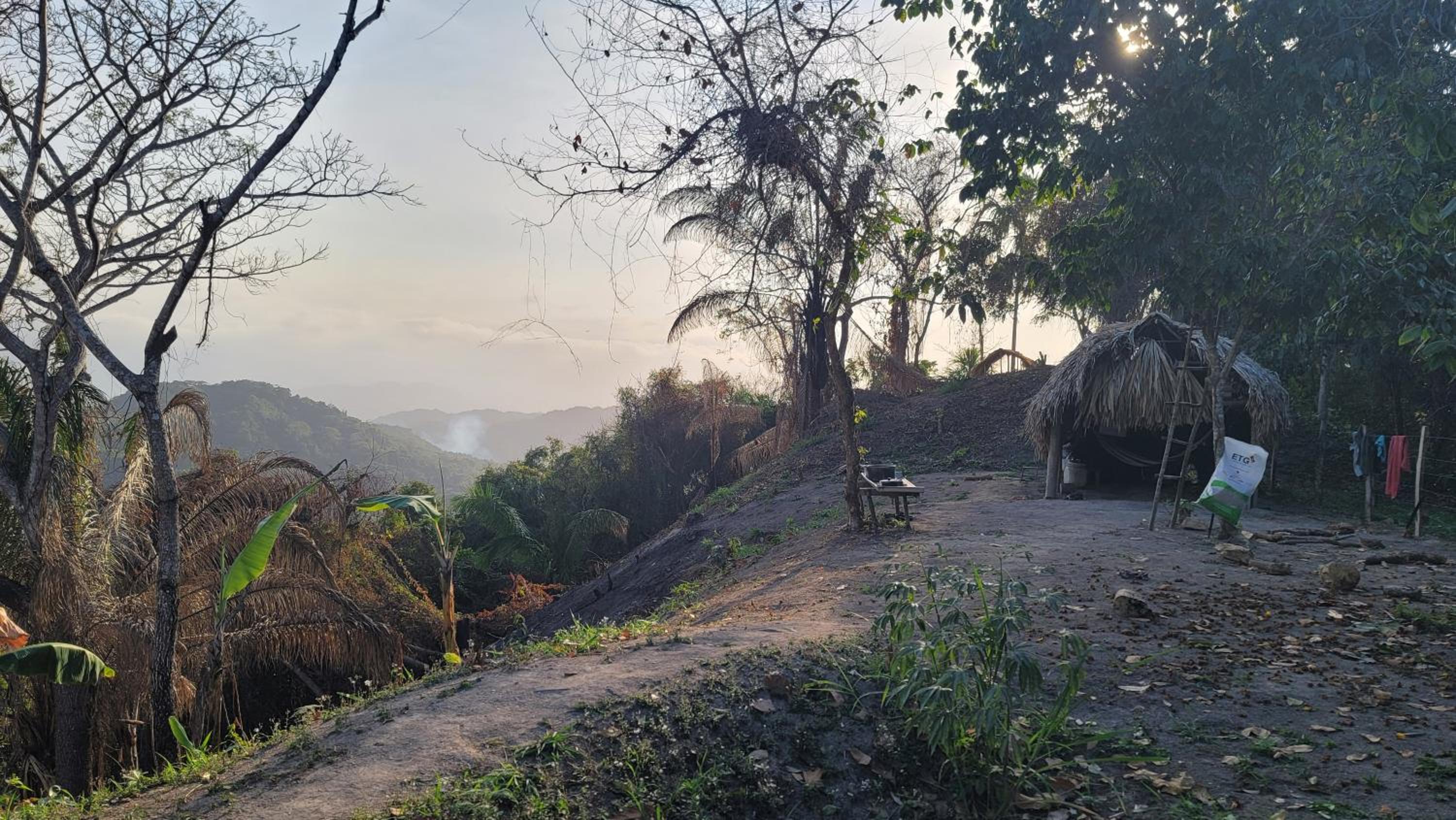Finca Anicca - Cabaña, Camping, Hamaca - Farmstay