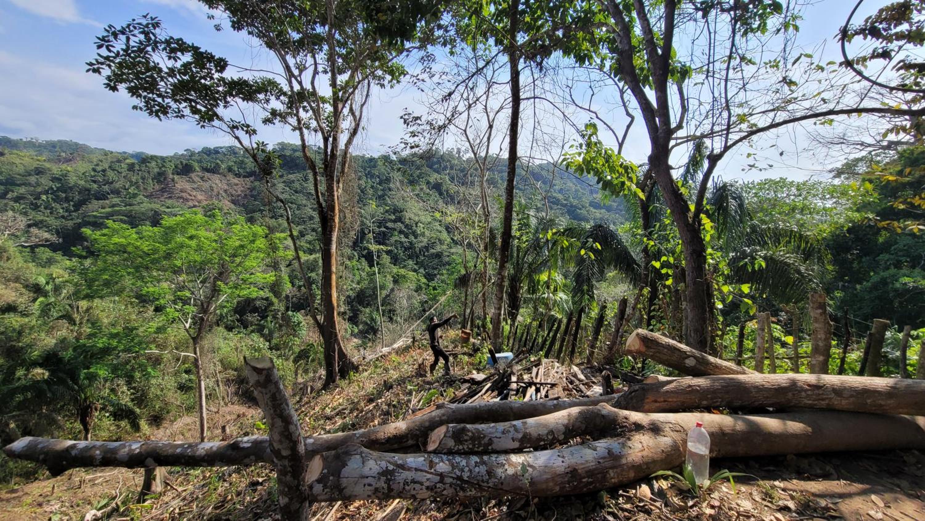 Finca Anicca - Cabaña, Camping, Hamaca - Farmstay