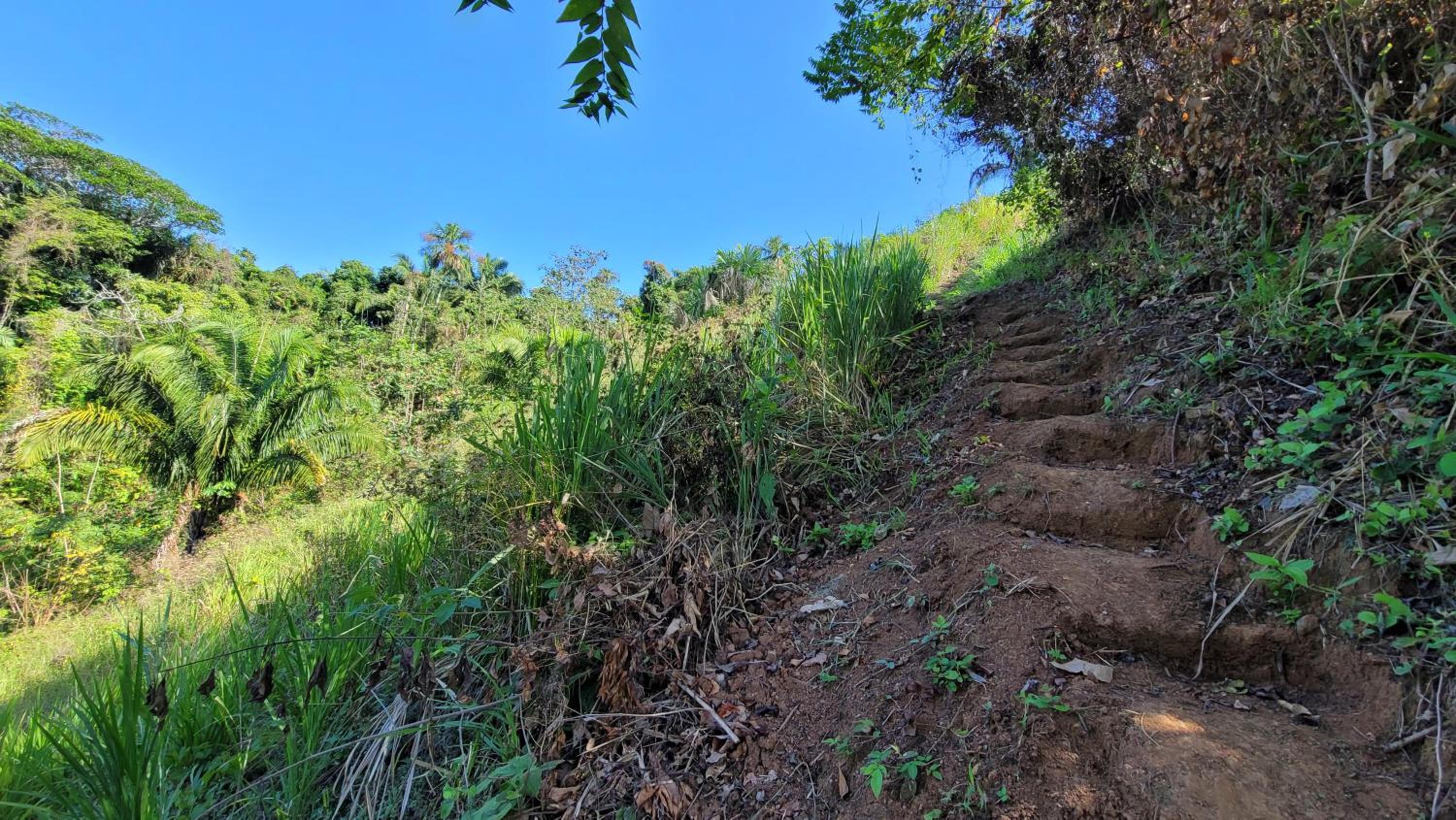 Finca Anicca - Cabaña, Camping, Hamaca - Farmstay