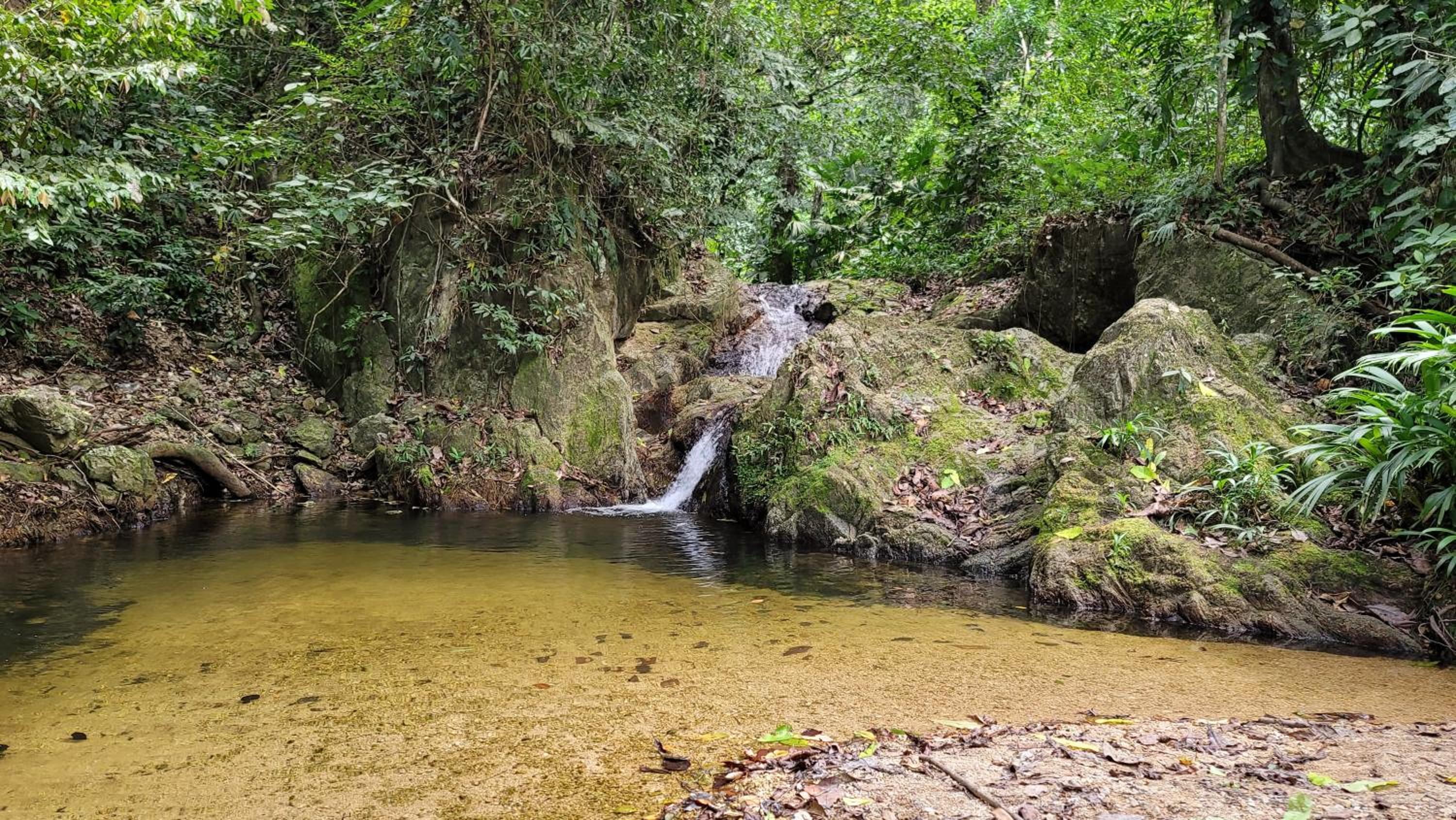 Finca Anicca - Cabaña, Camping, Hamaca - Farmstay
