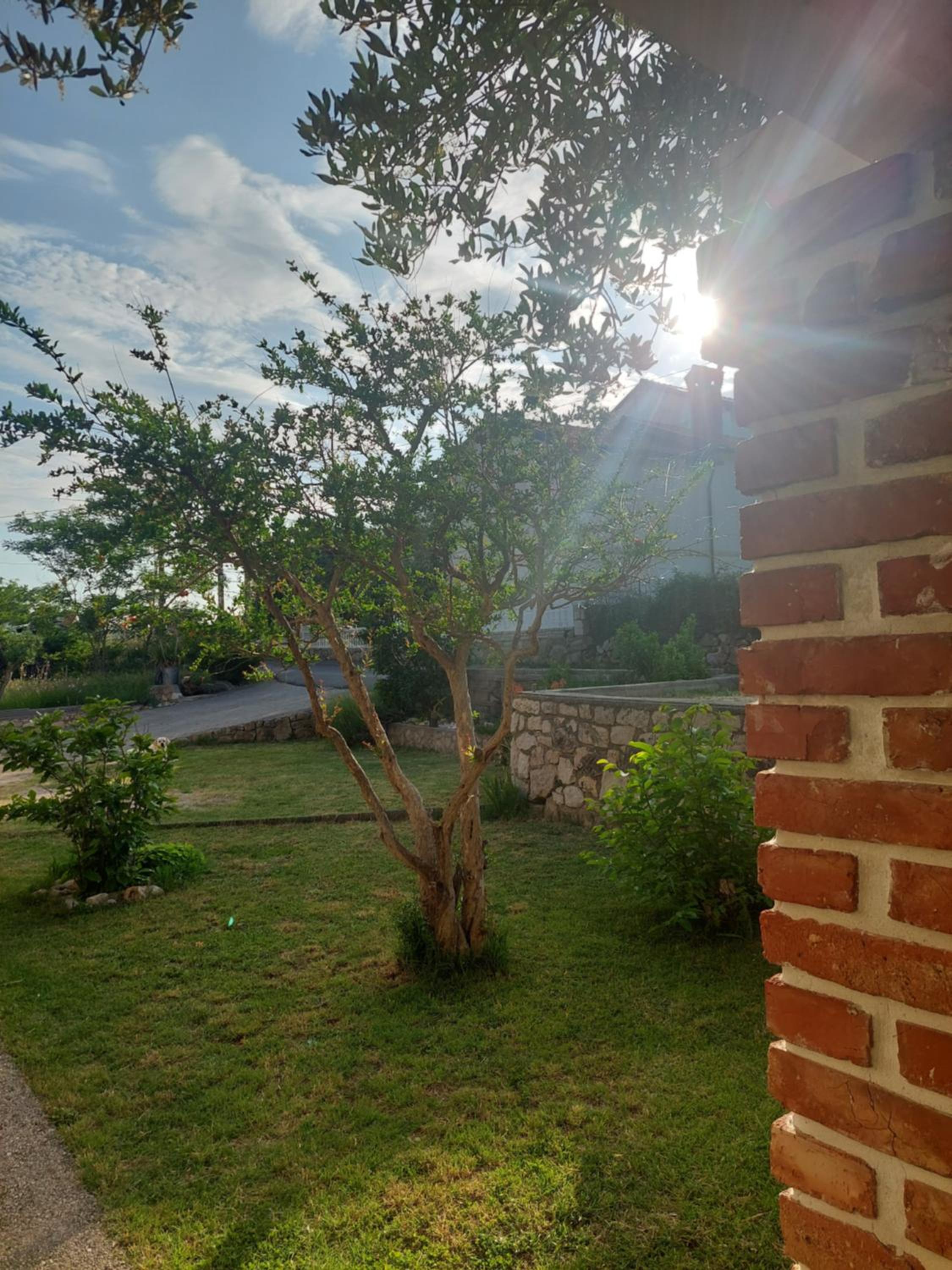 Novouređeni apartman Marko view 3