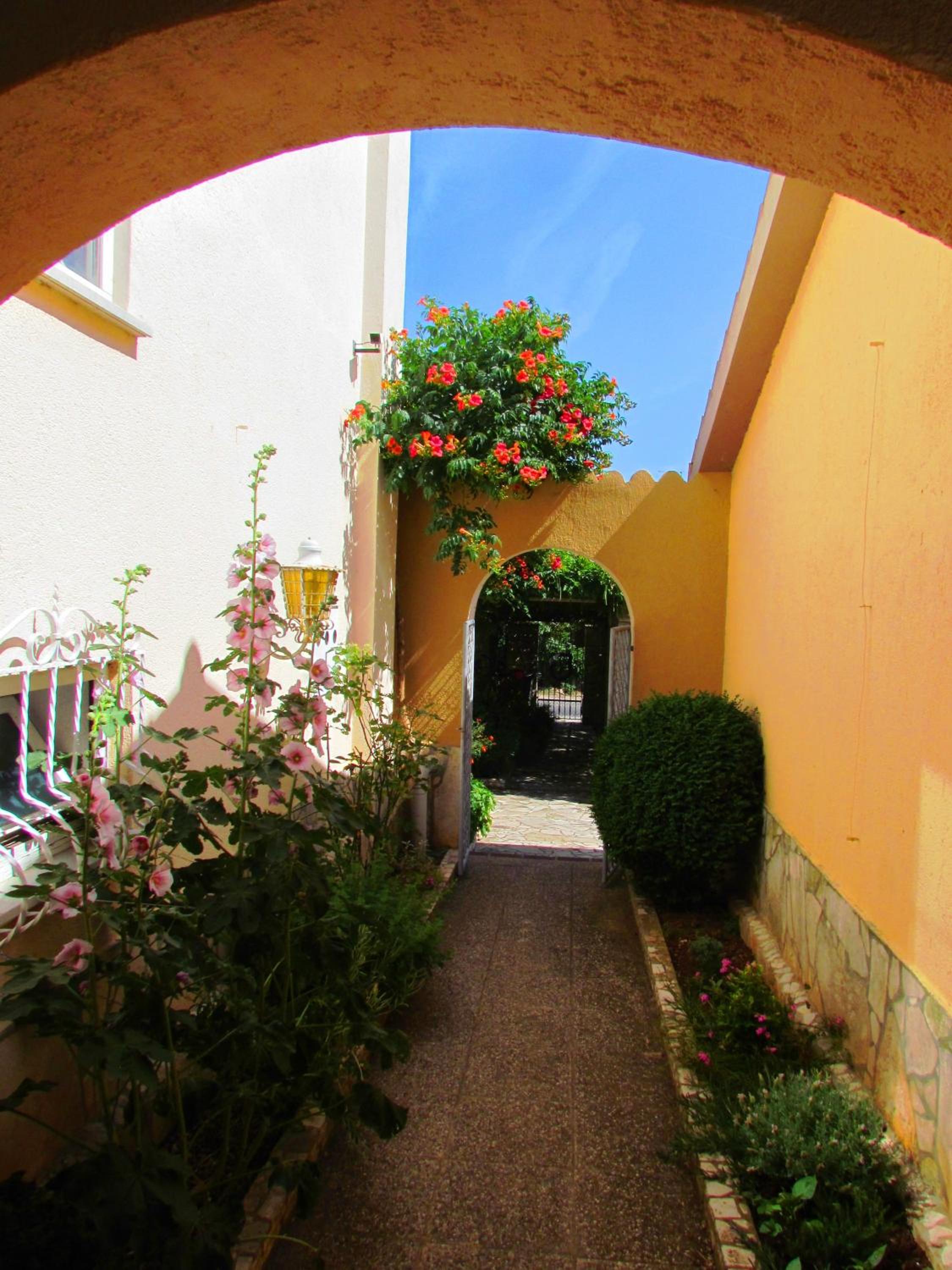 Photo 40