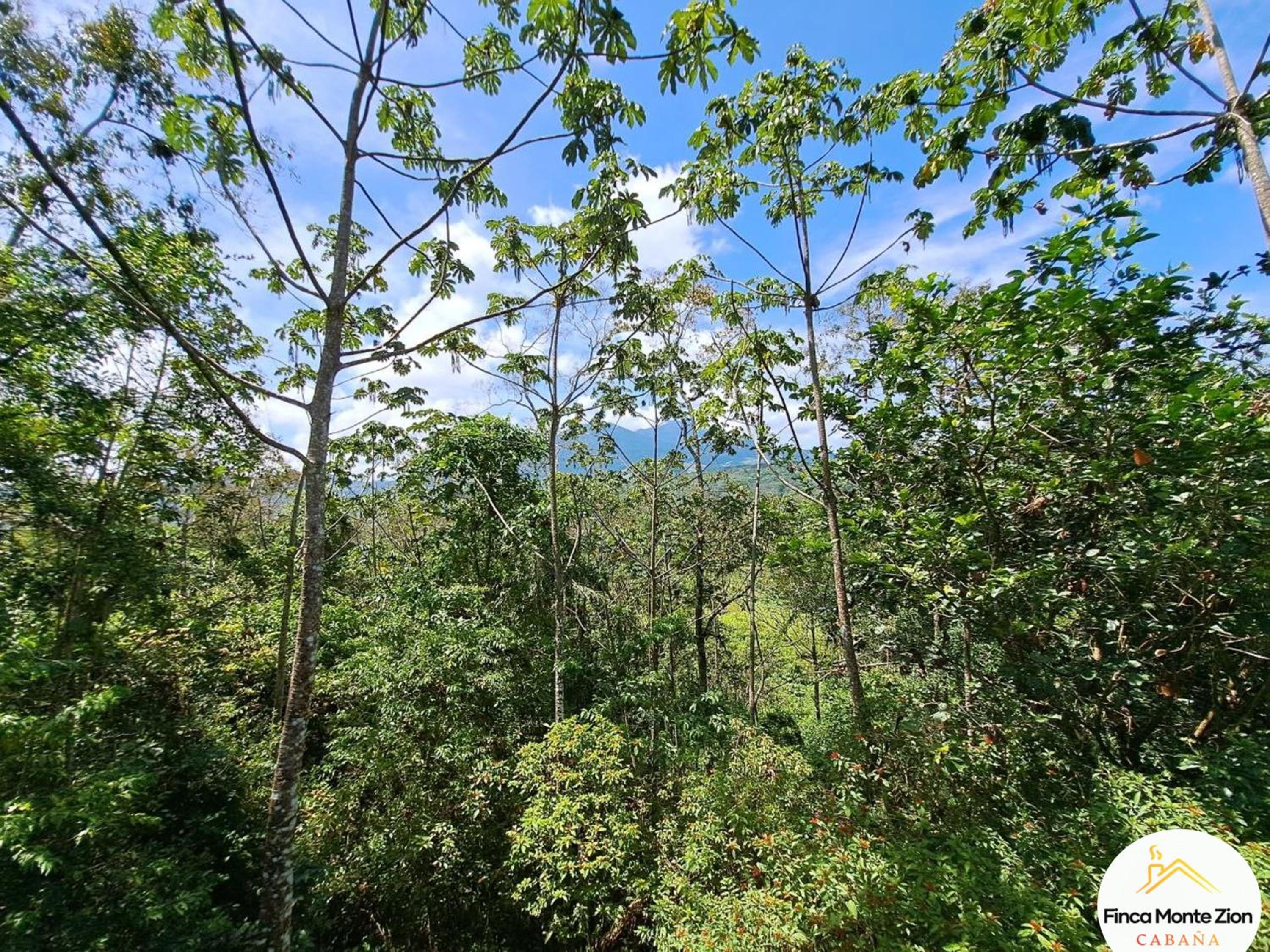 Cabaña Montezion Bijagua