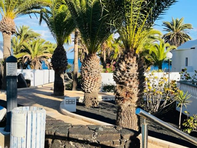 Trinity house en Playa Bastian