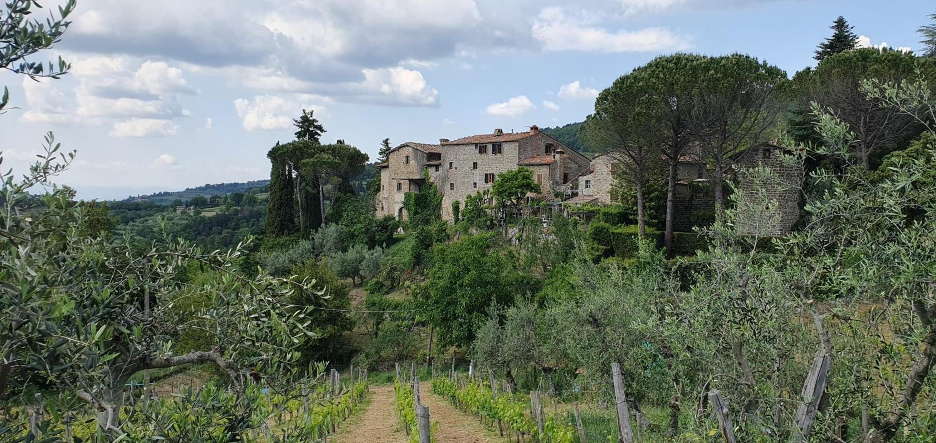 Casa Ami