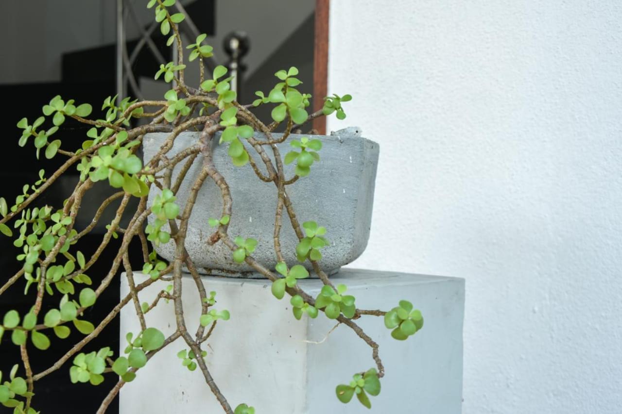 Sanmi Home Rentals Battaramulla