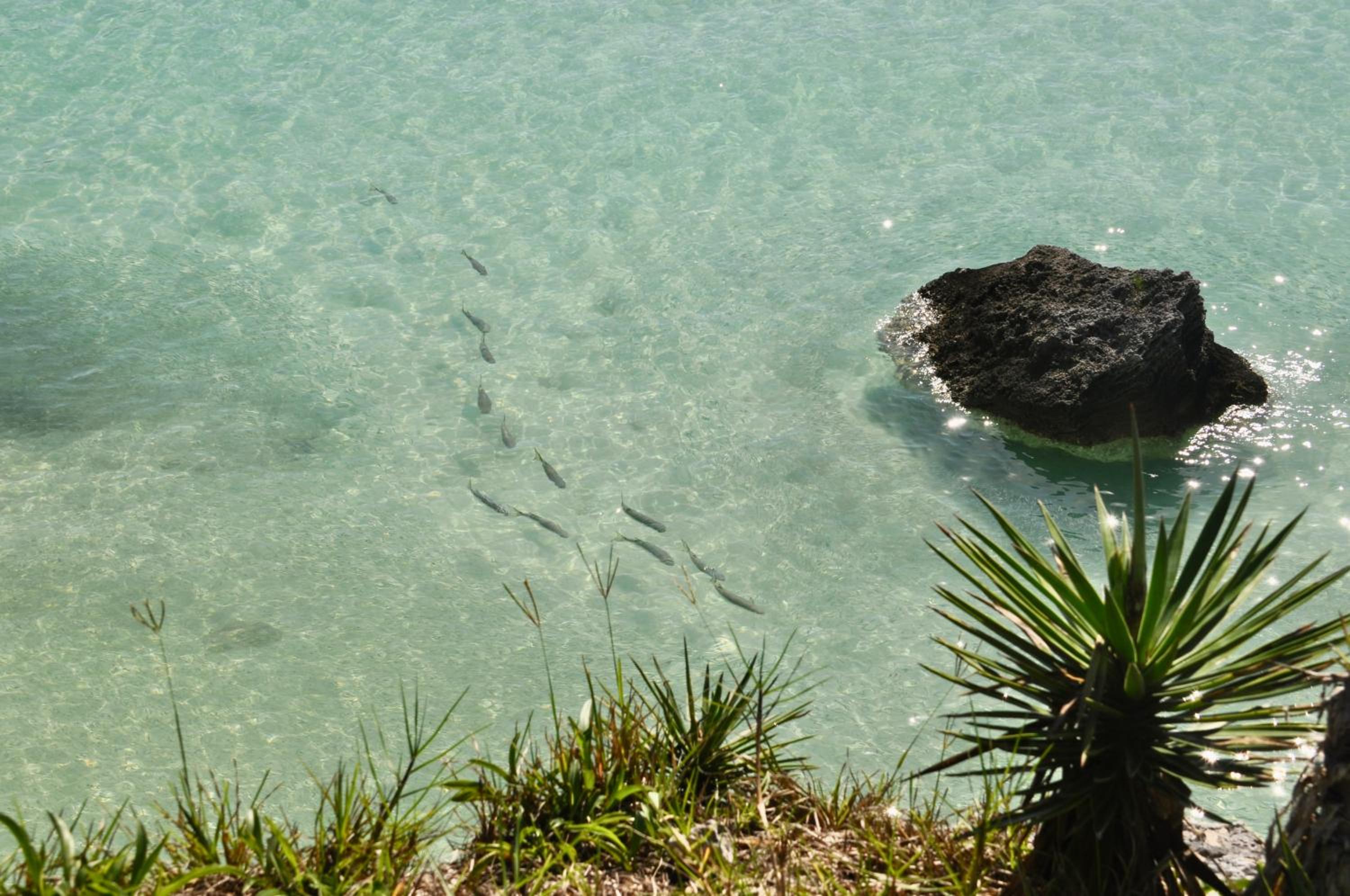 Willowbank Resort - Property Image 45