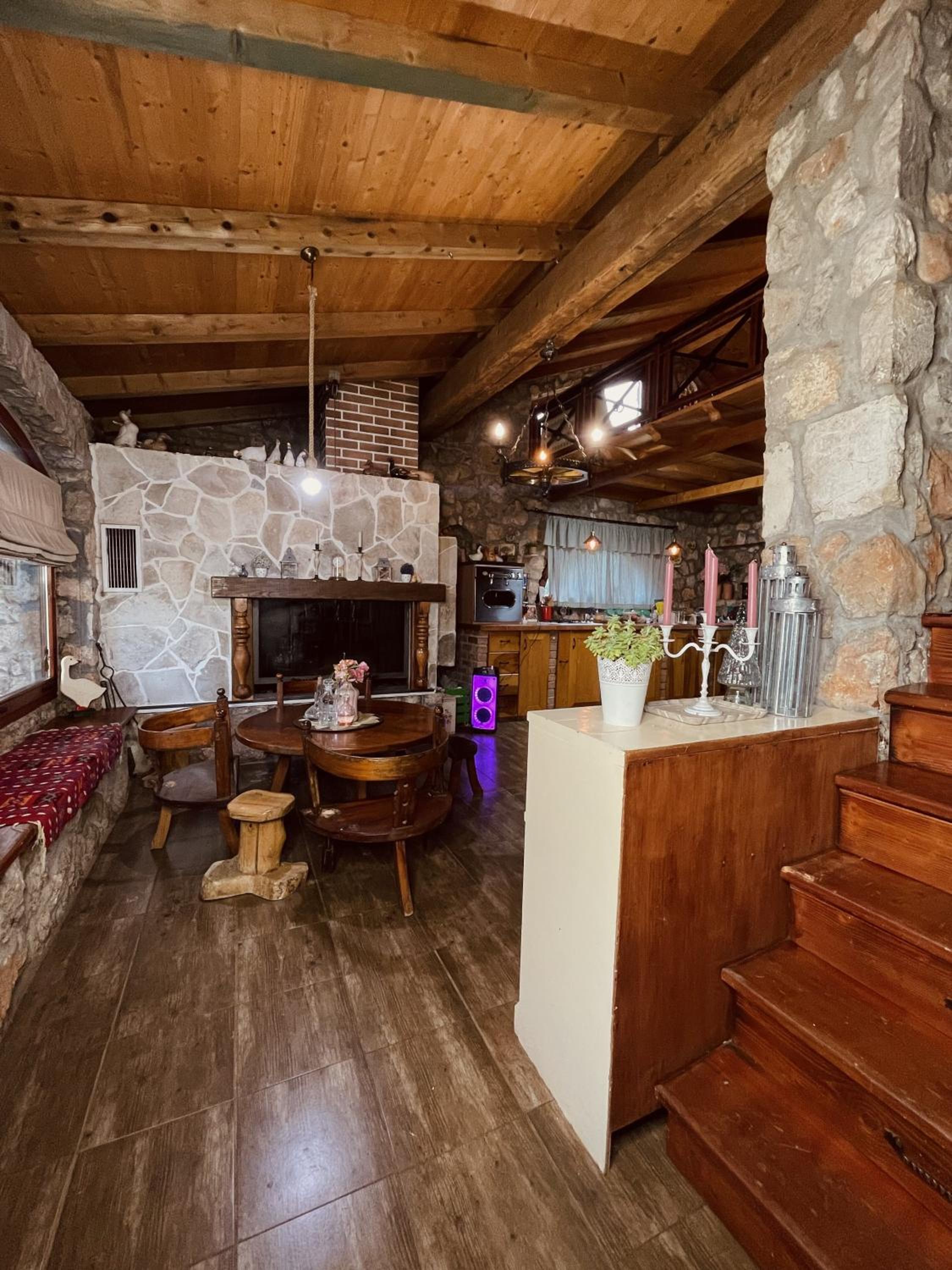 Village house Velimirović view 4