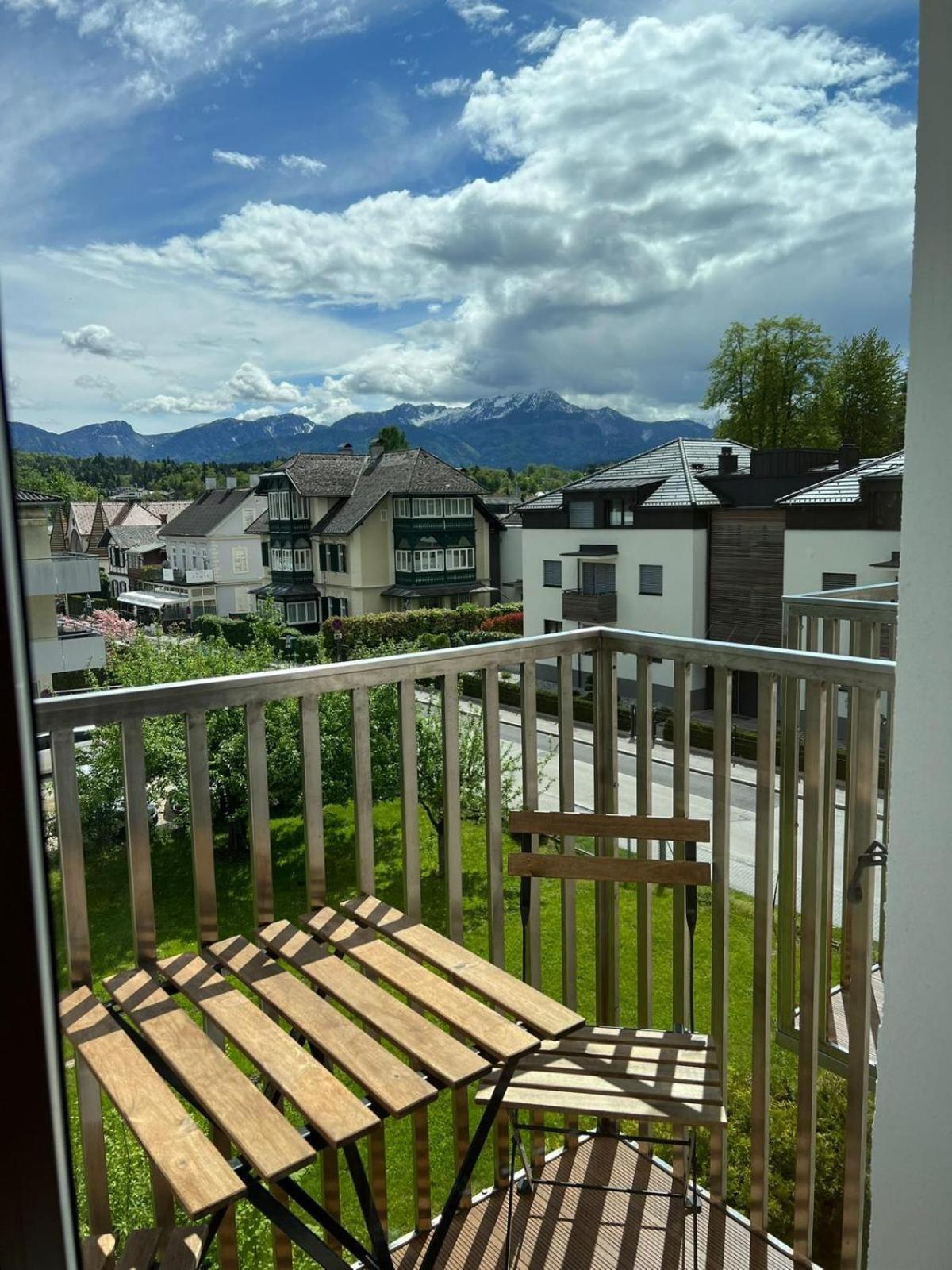 Seebär Velden